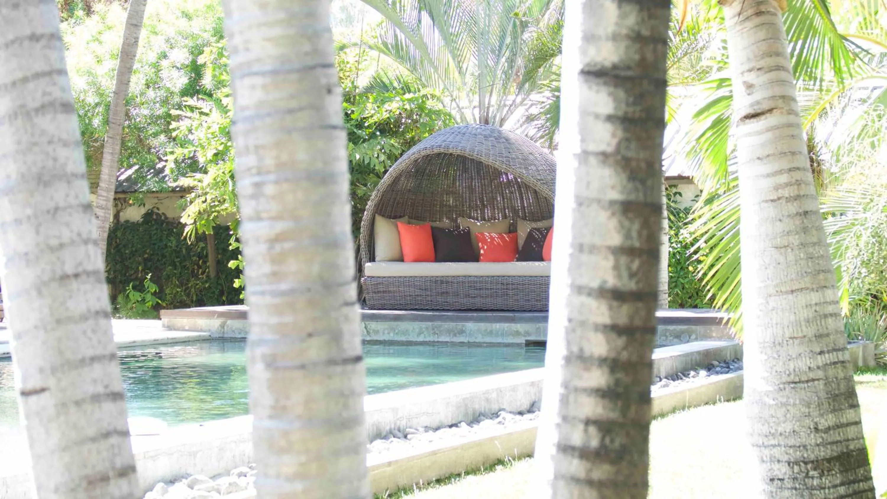 Swimming pool in Maison Mucuna