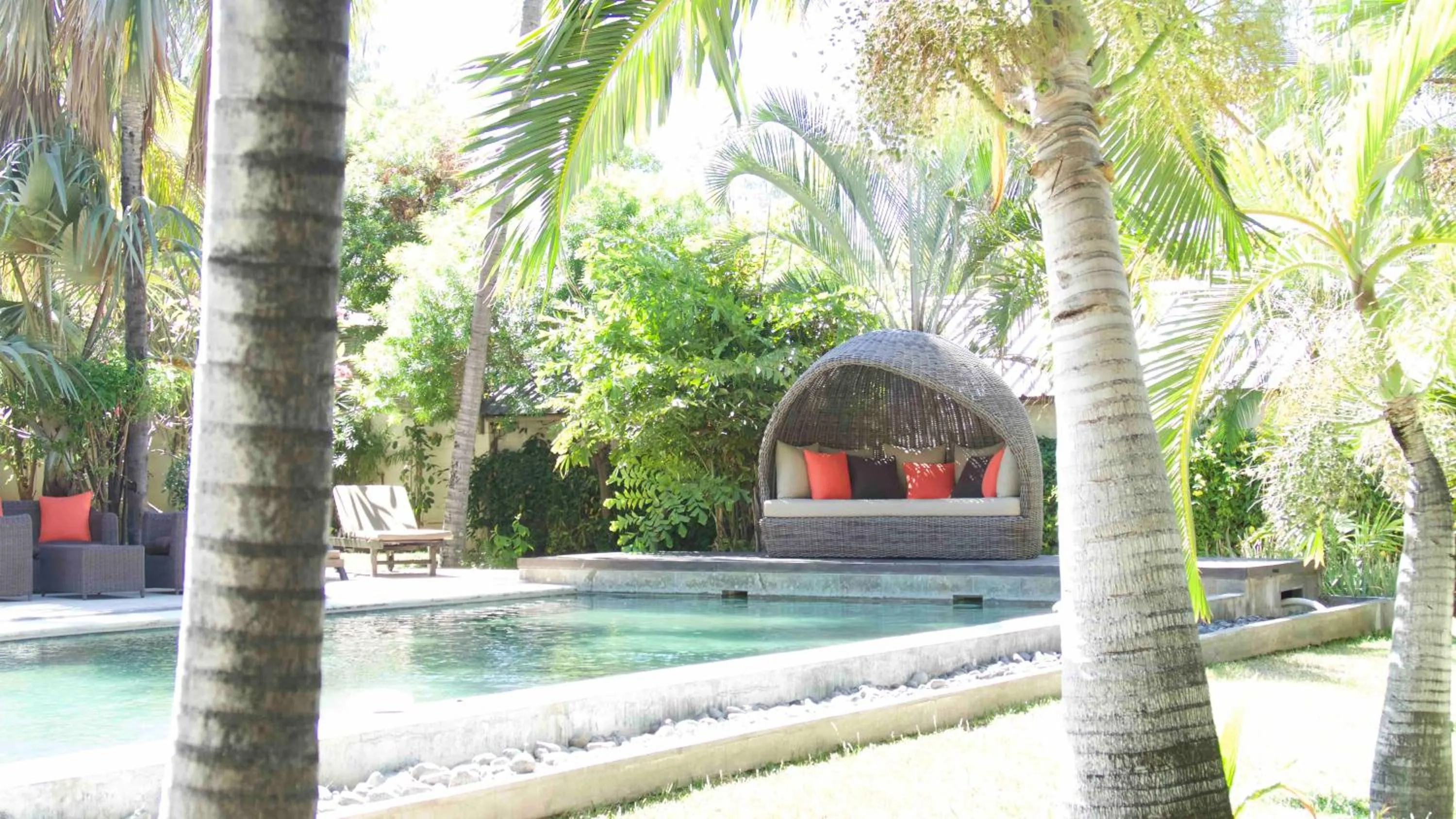 Swimming pool in Maison Mucuna