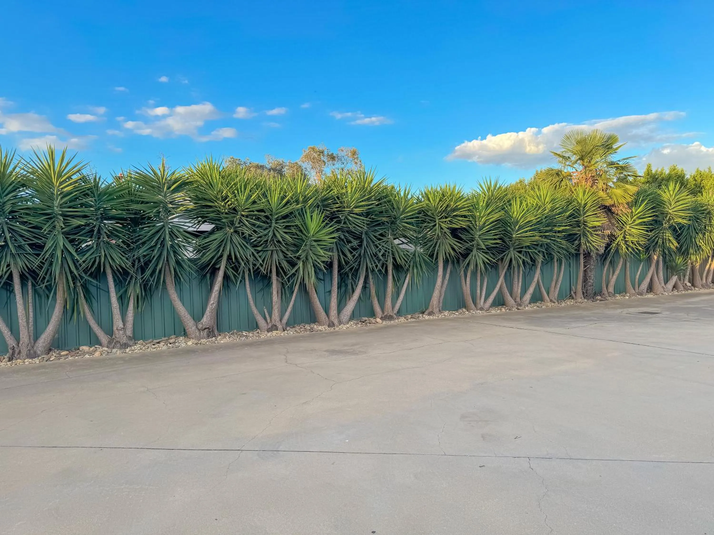 Pastoral Hotel Motel Echuca CBD