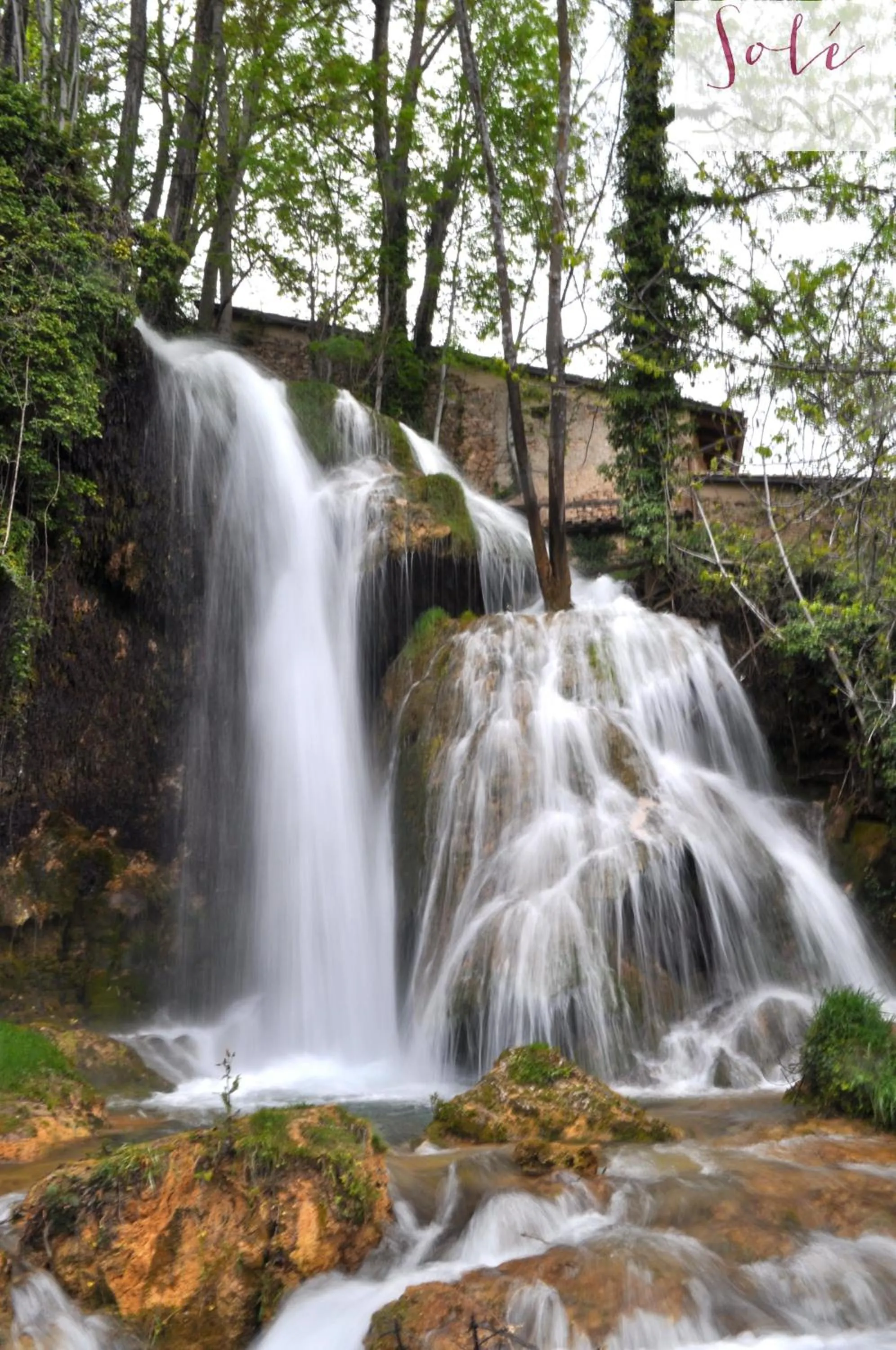 Summer in Hotel Solé