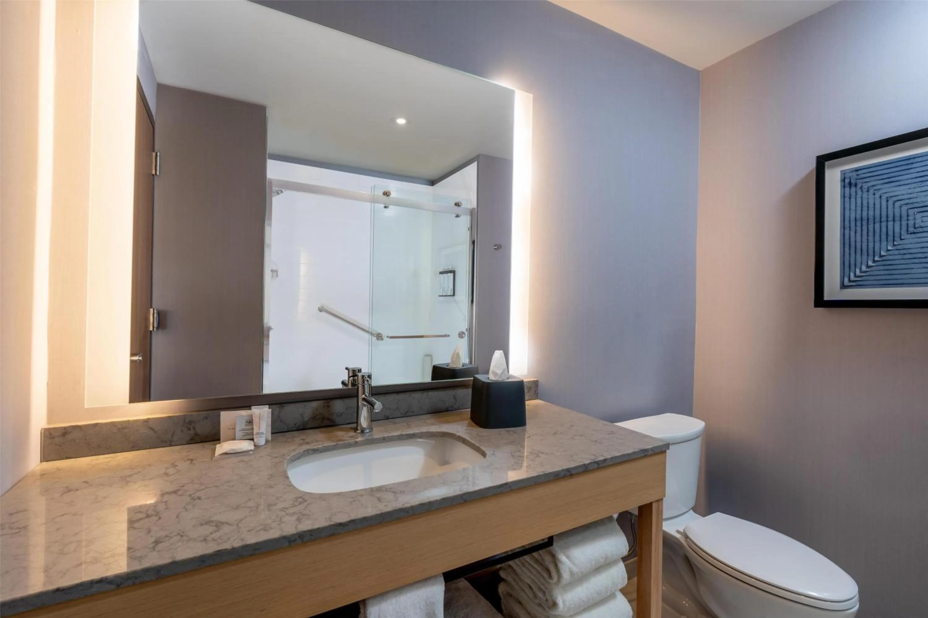 Bathroom in Hyatt Place Eagle Pass