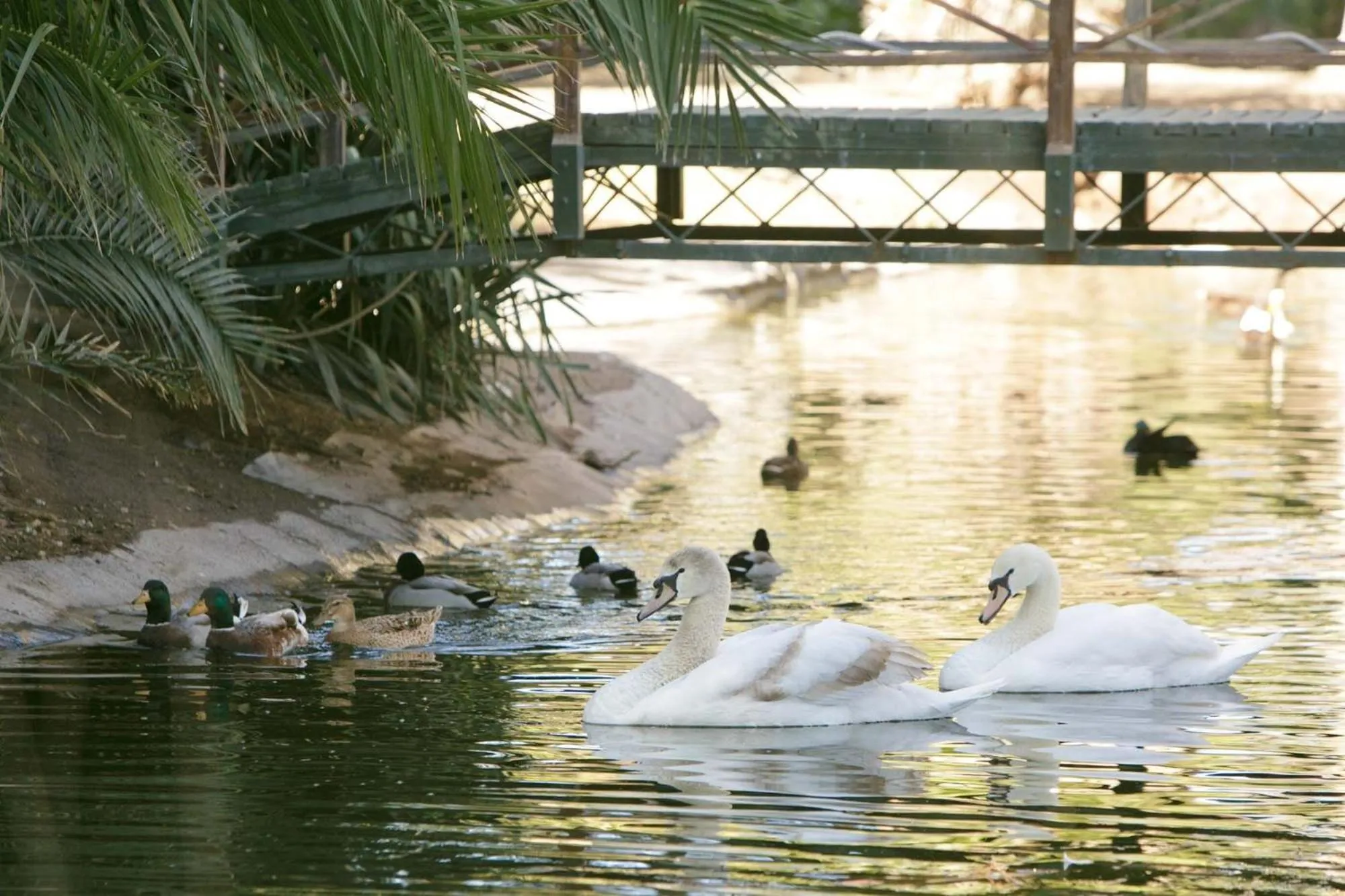Balcony/Terrace in Beaufort Manor Country Lodge