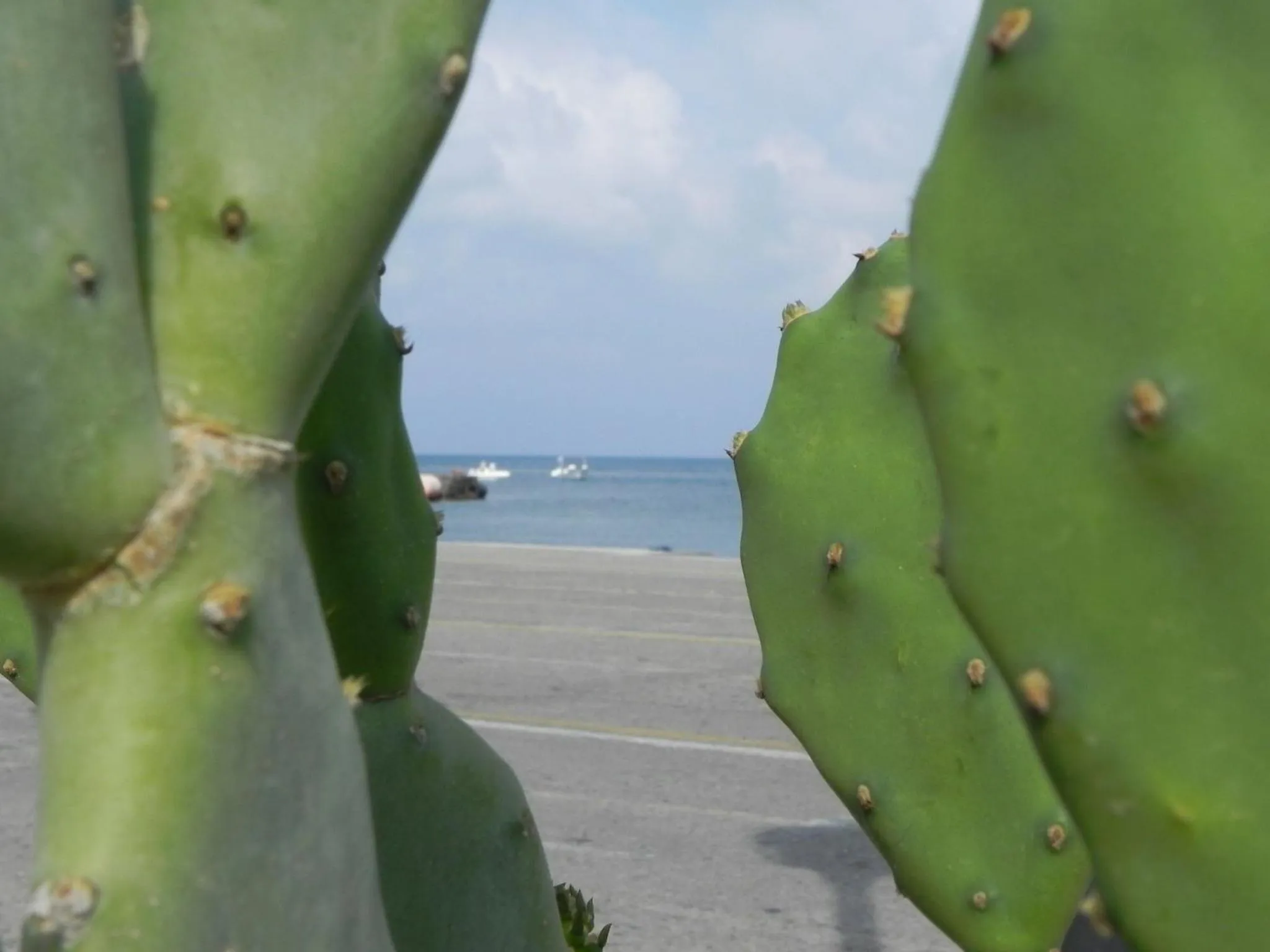 Other in Affittacamere Bellavista