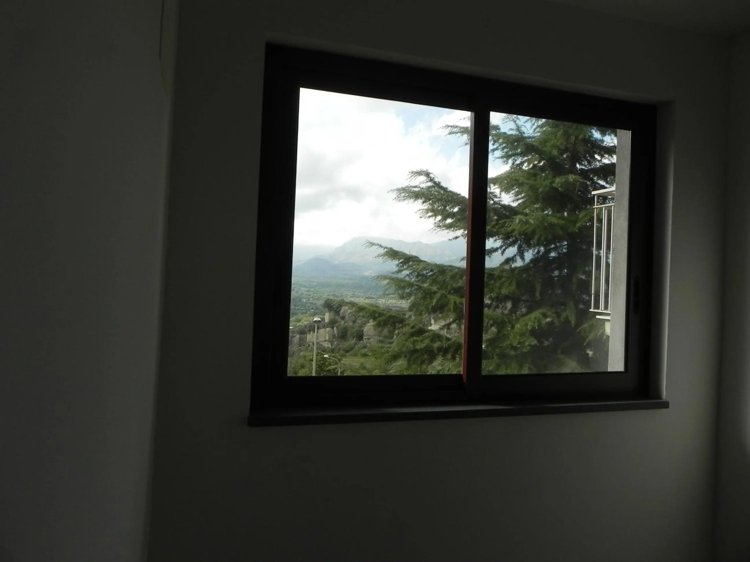 Pets in Affittacamere Bellavista