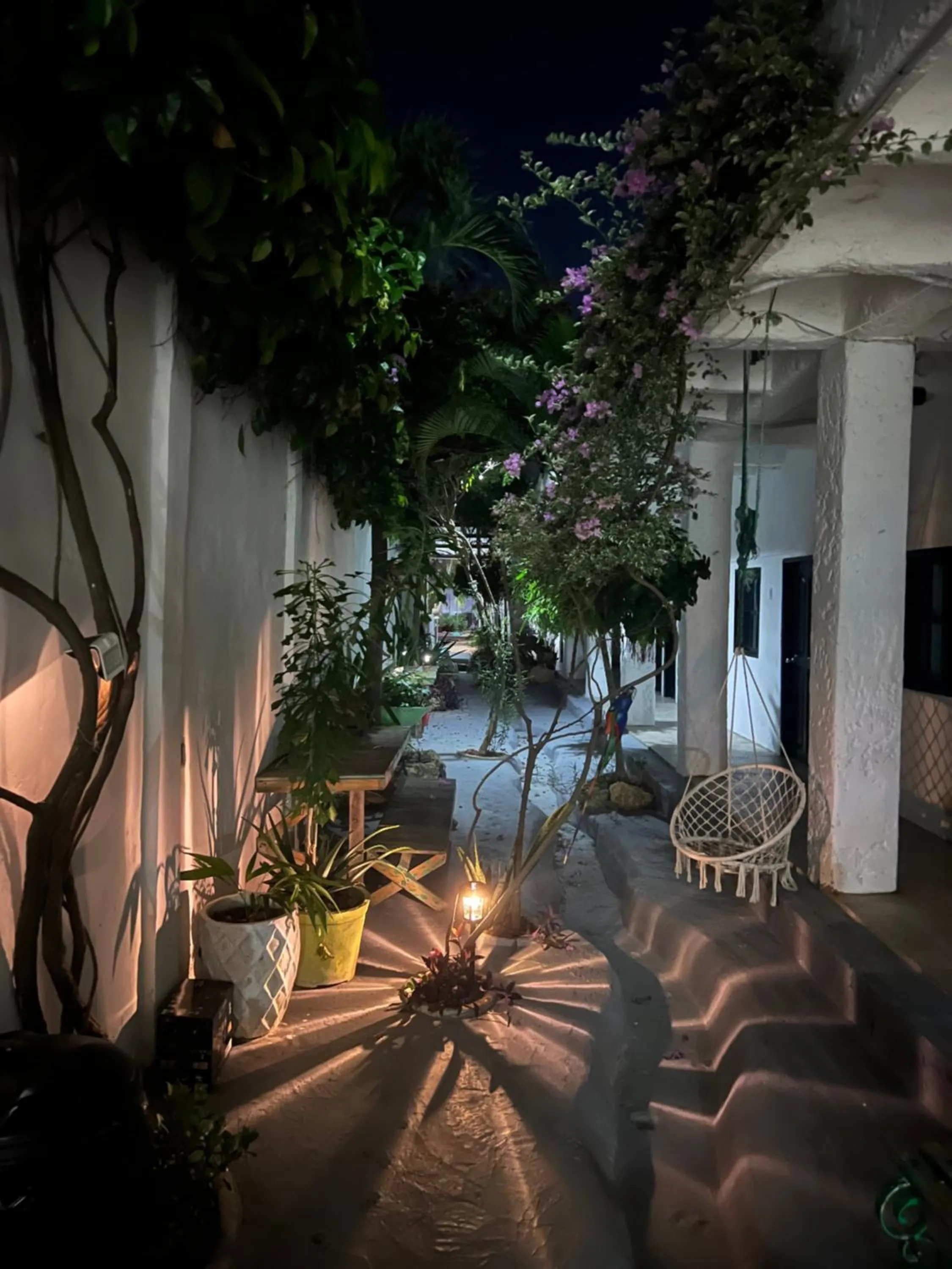 Garden in Casa Torices Real 12