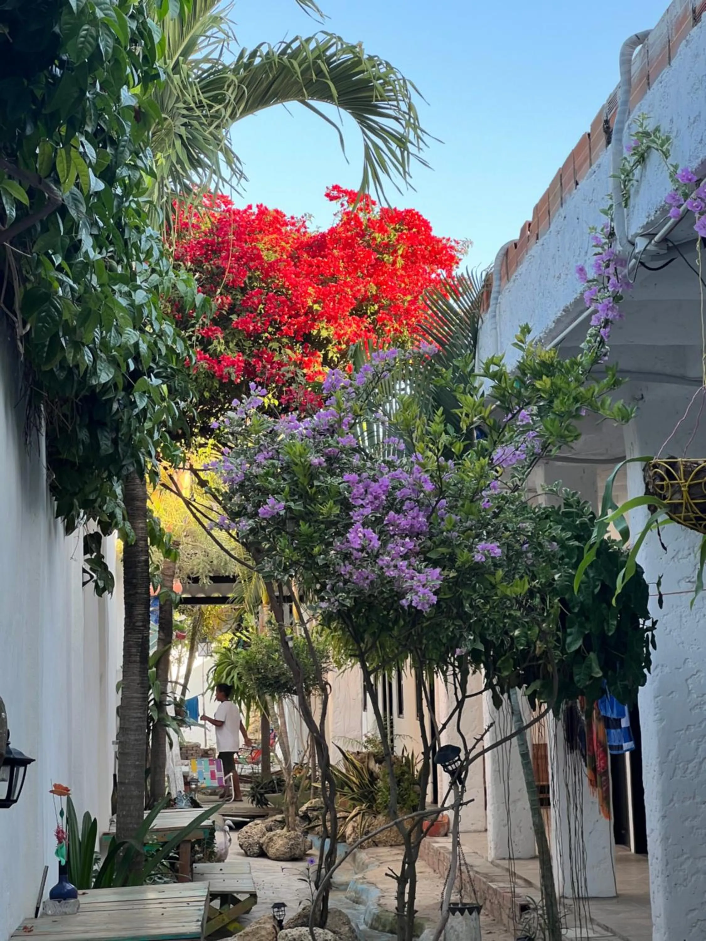 Garden in Casa Torices Real 12