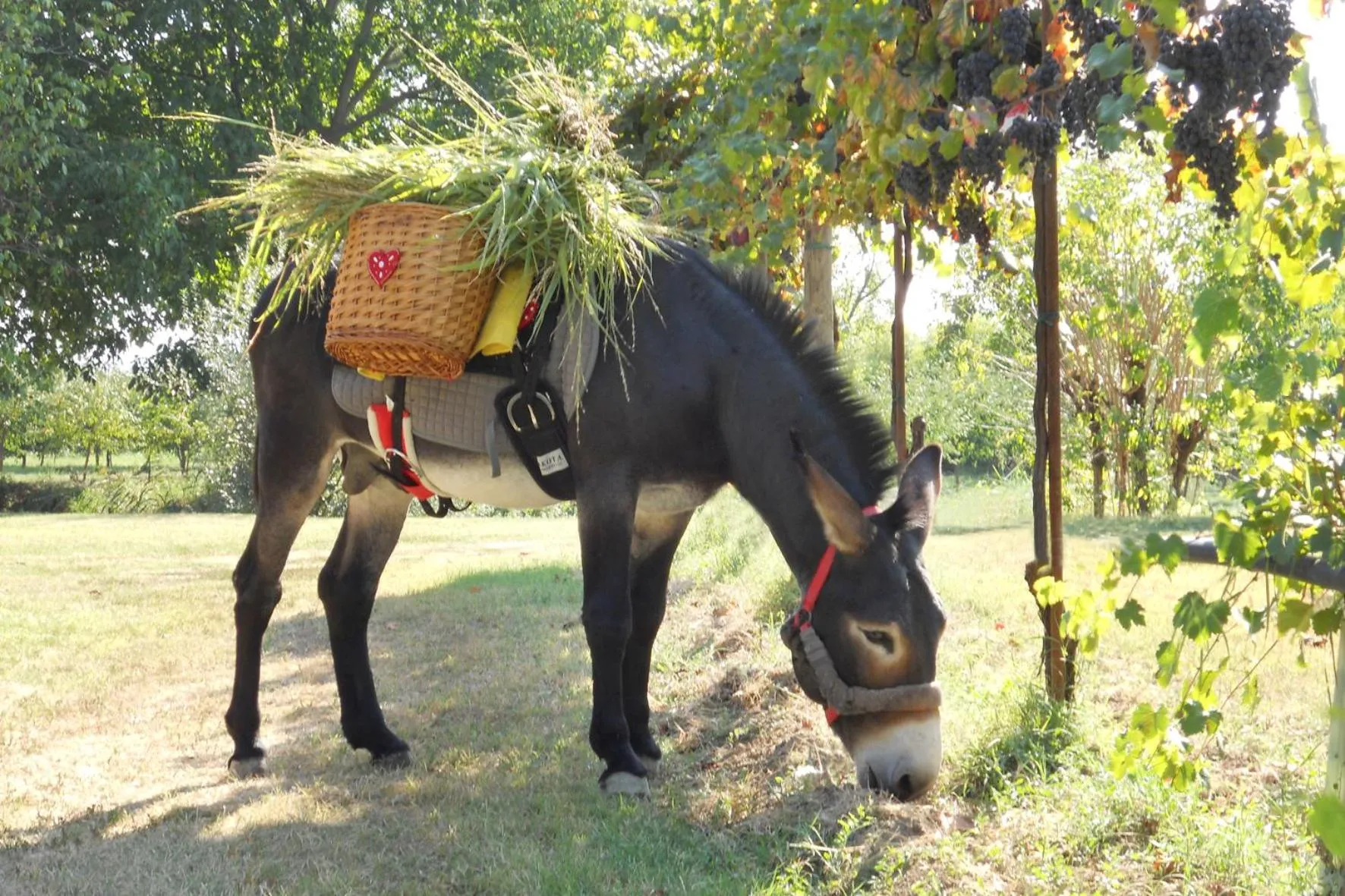 Nearby landmark in Hotel del Rio Srl - RISTORANTE e Azienda agricola