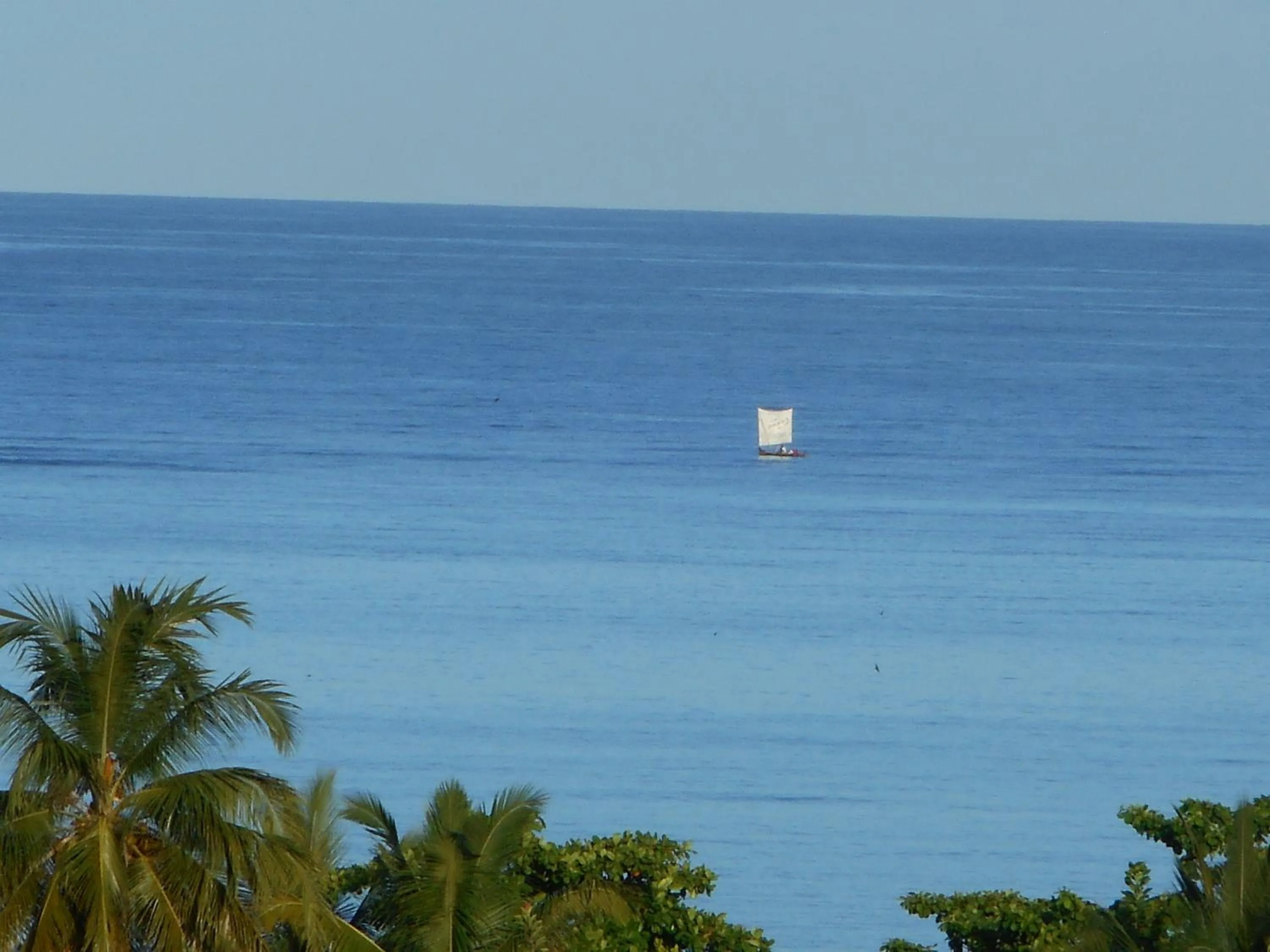 Natural landscape in Hotel Mahita Tsara