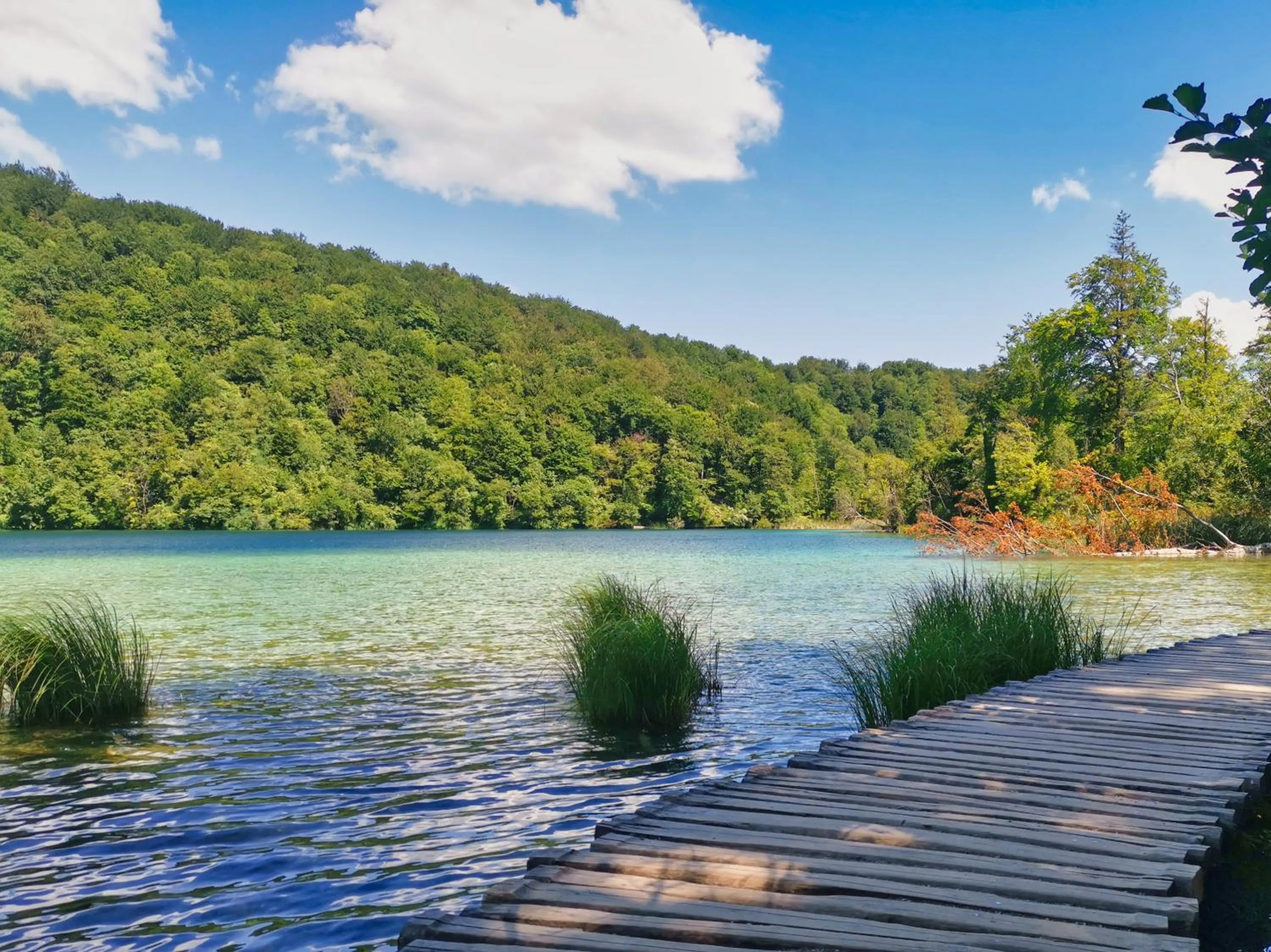 Nearby landmark in Etno Garden Exclusive