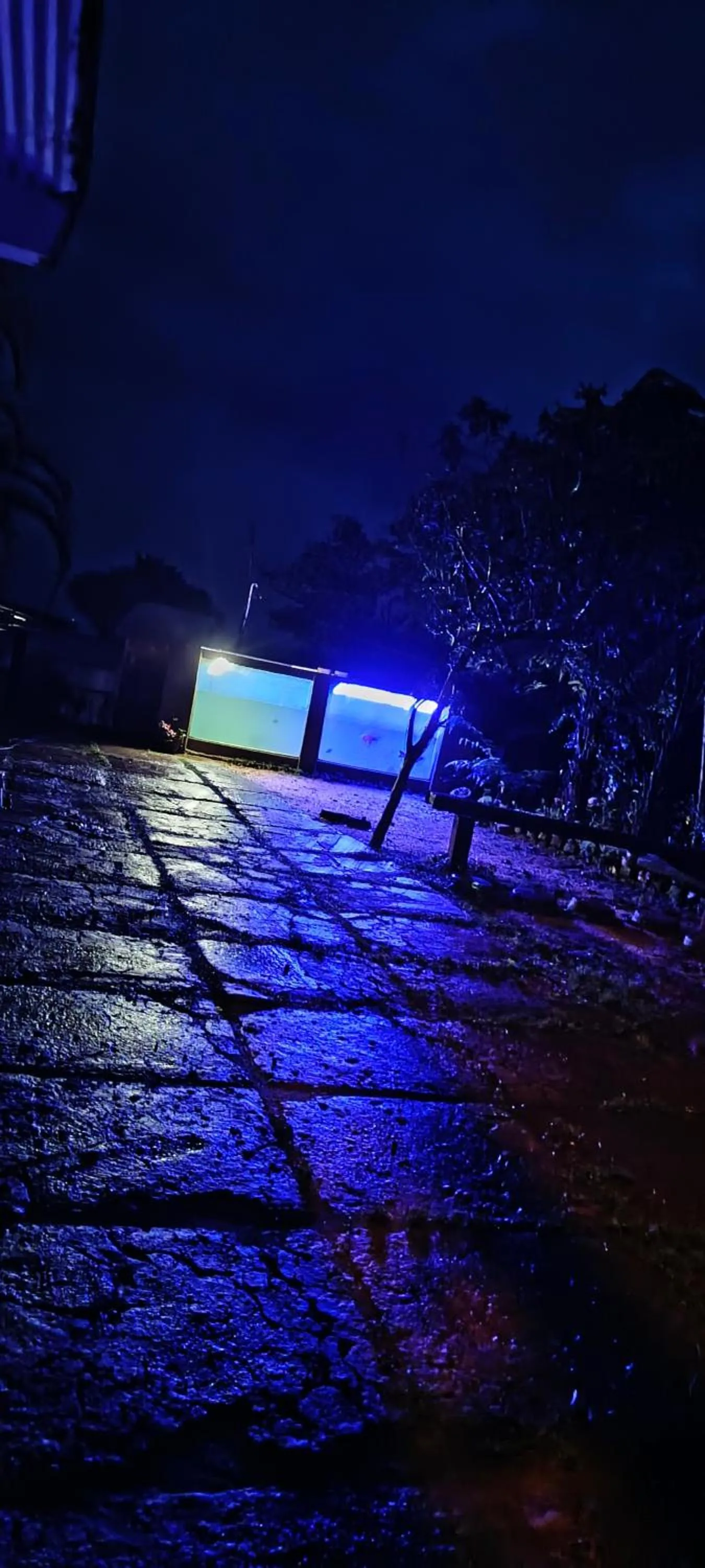 Adisham village home Haputale