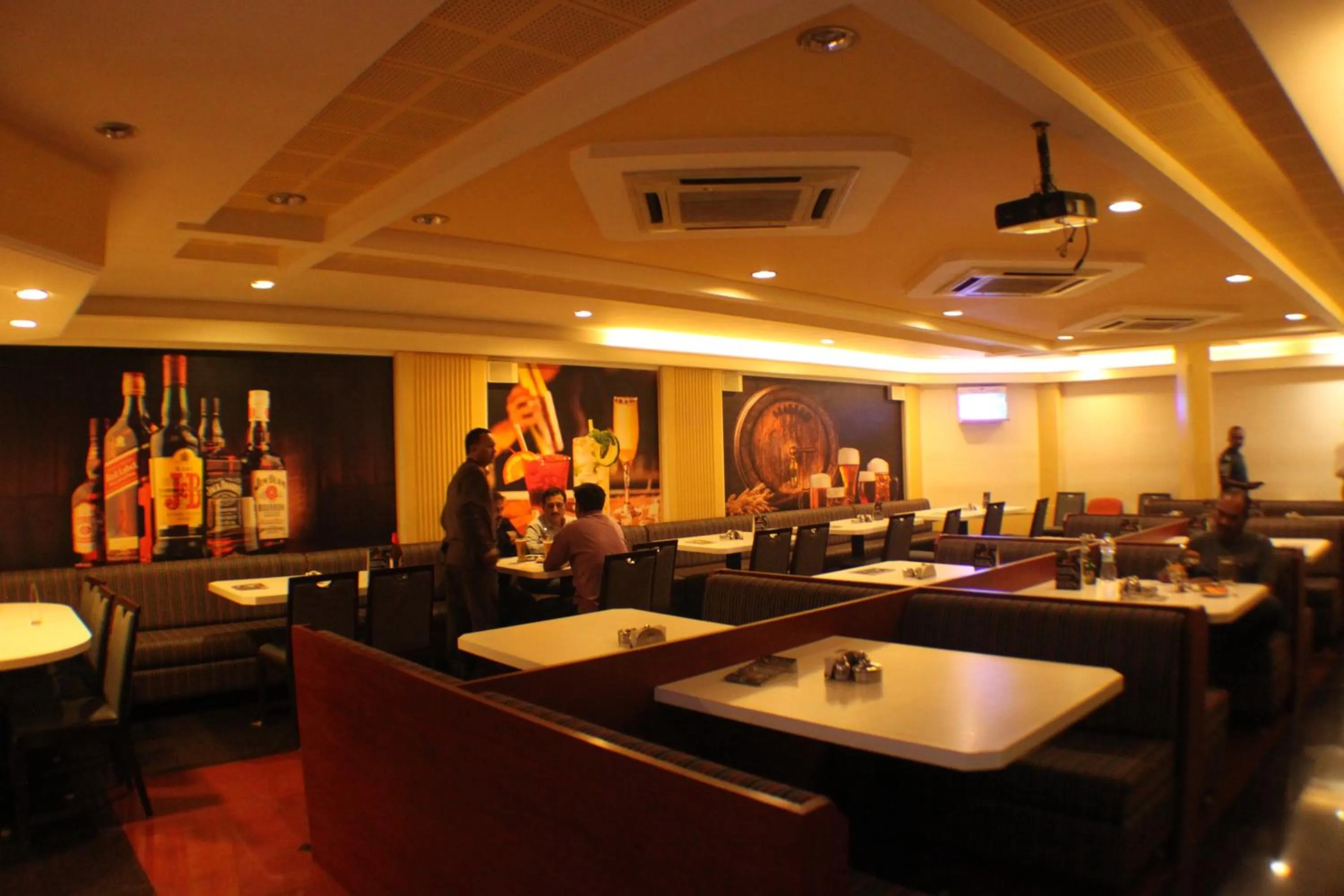 Lunch in Panchavati Elite Inn