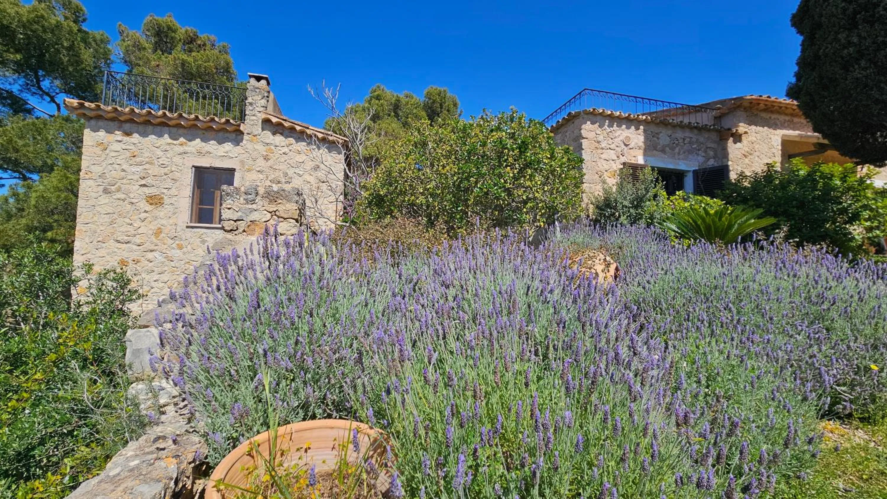 Day in Asis de Marratxinet Turismo de Interior