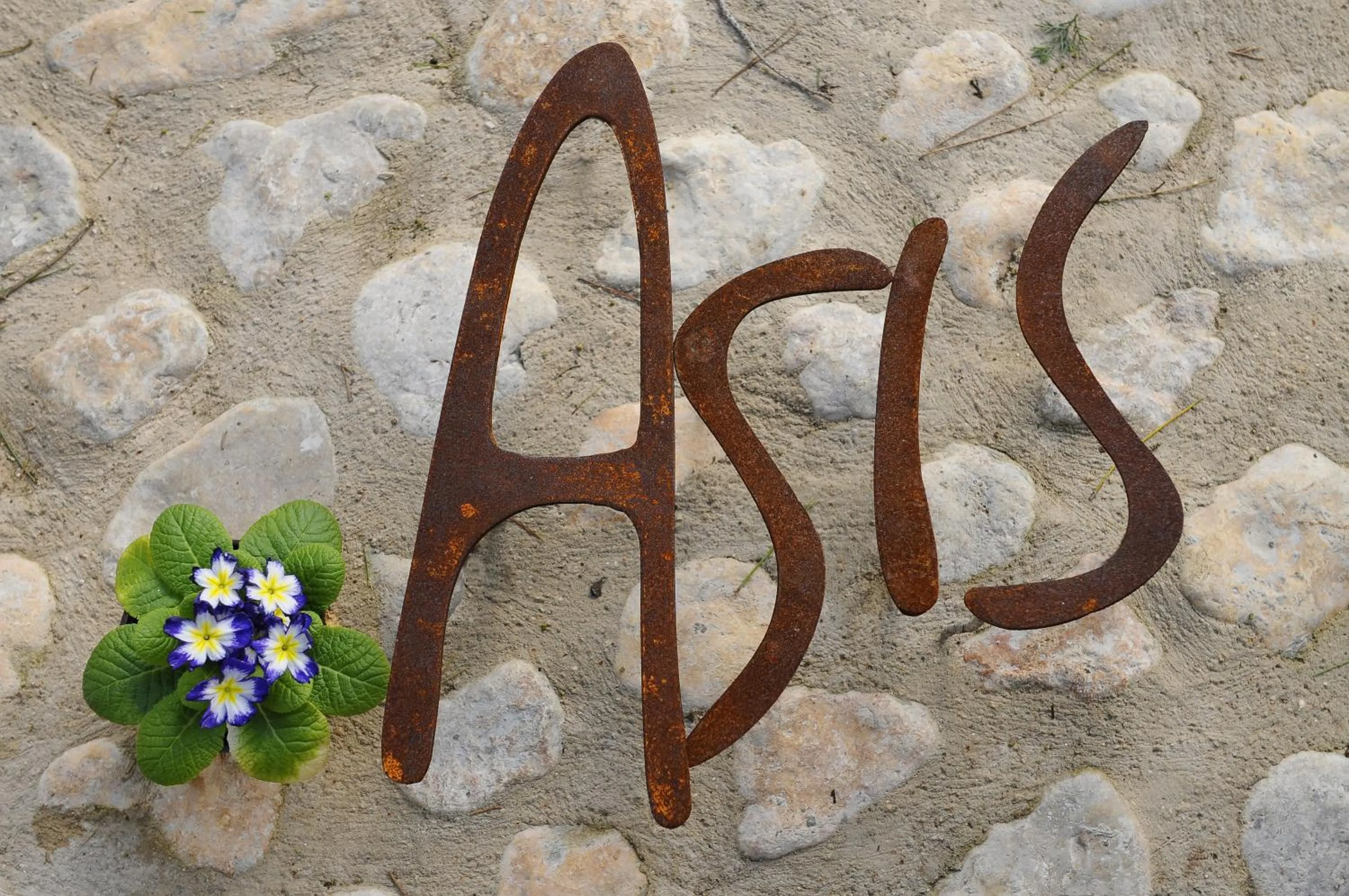 Day in Asis de Marratxinet Turismo de Interior