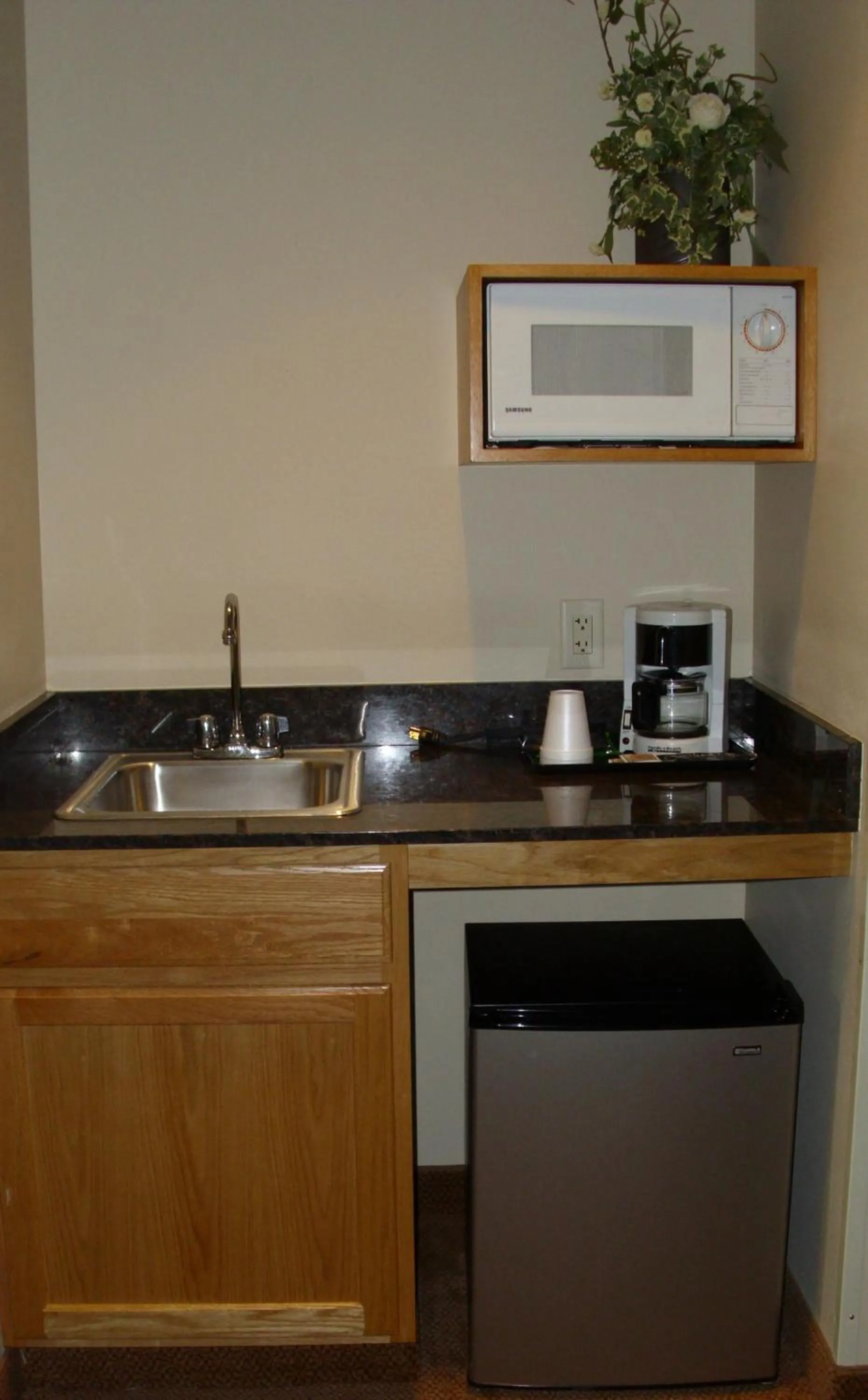 Kitchen or kitchenette in Savanna Inn & Suites