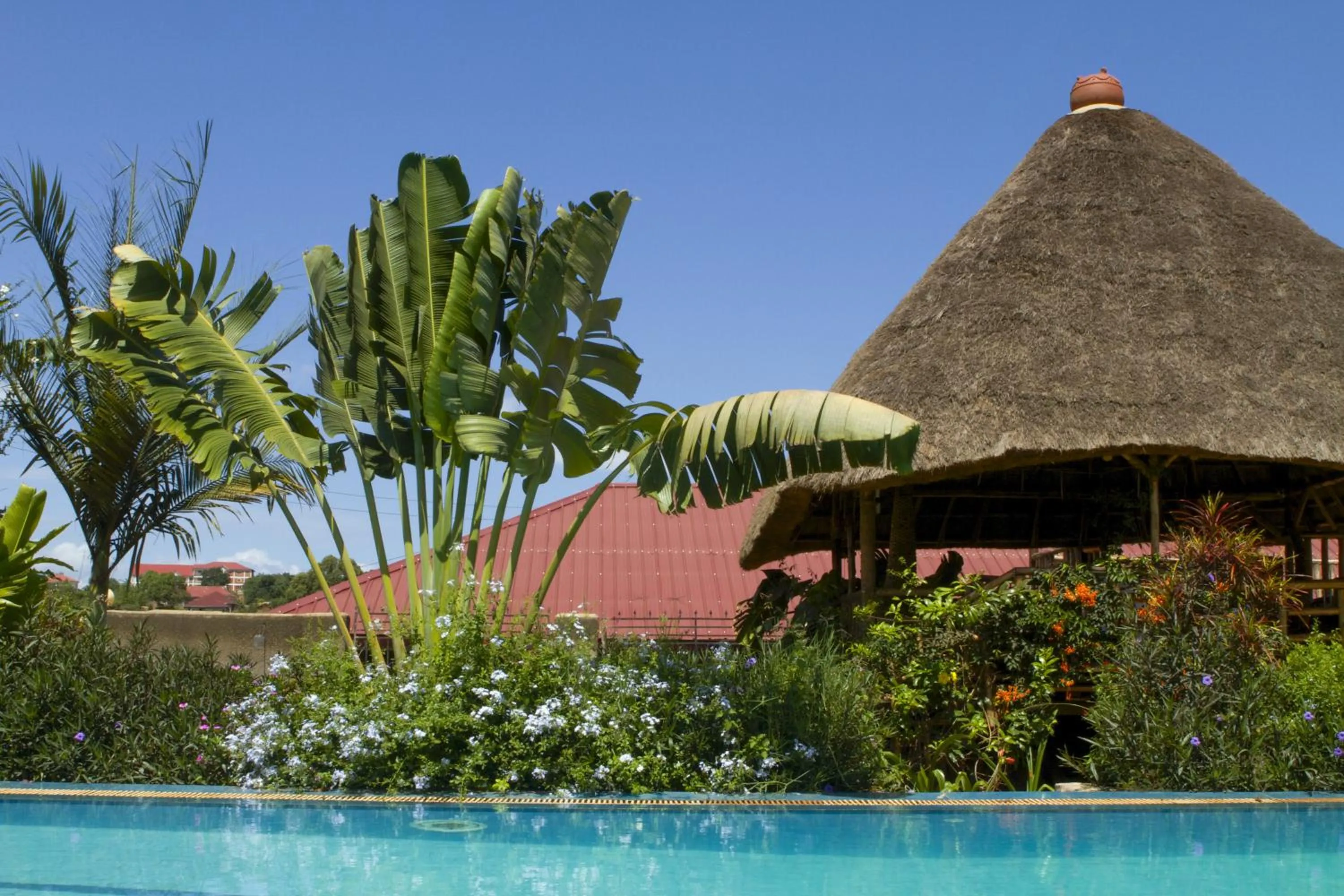 Swimming pool in Malakai Eco Lodge