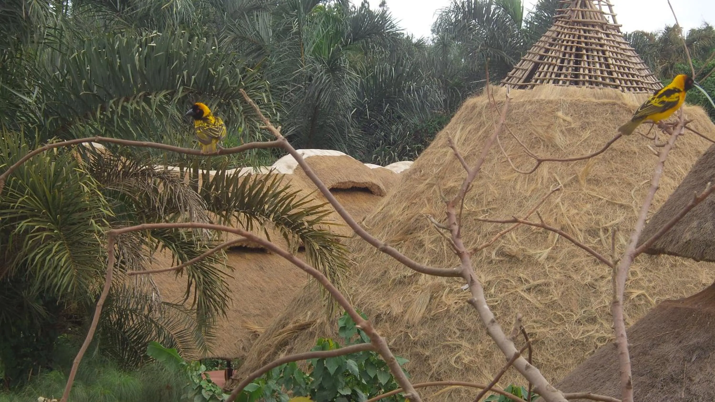 Garden view in Malakai Eco Lodge