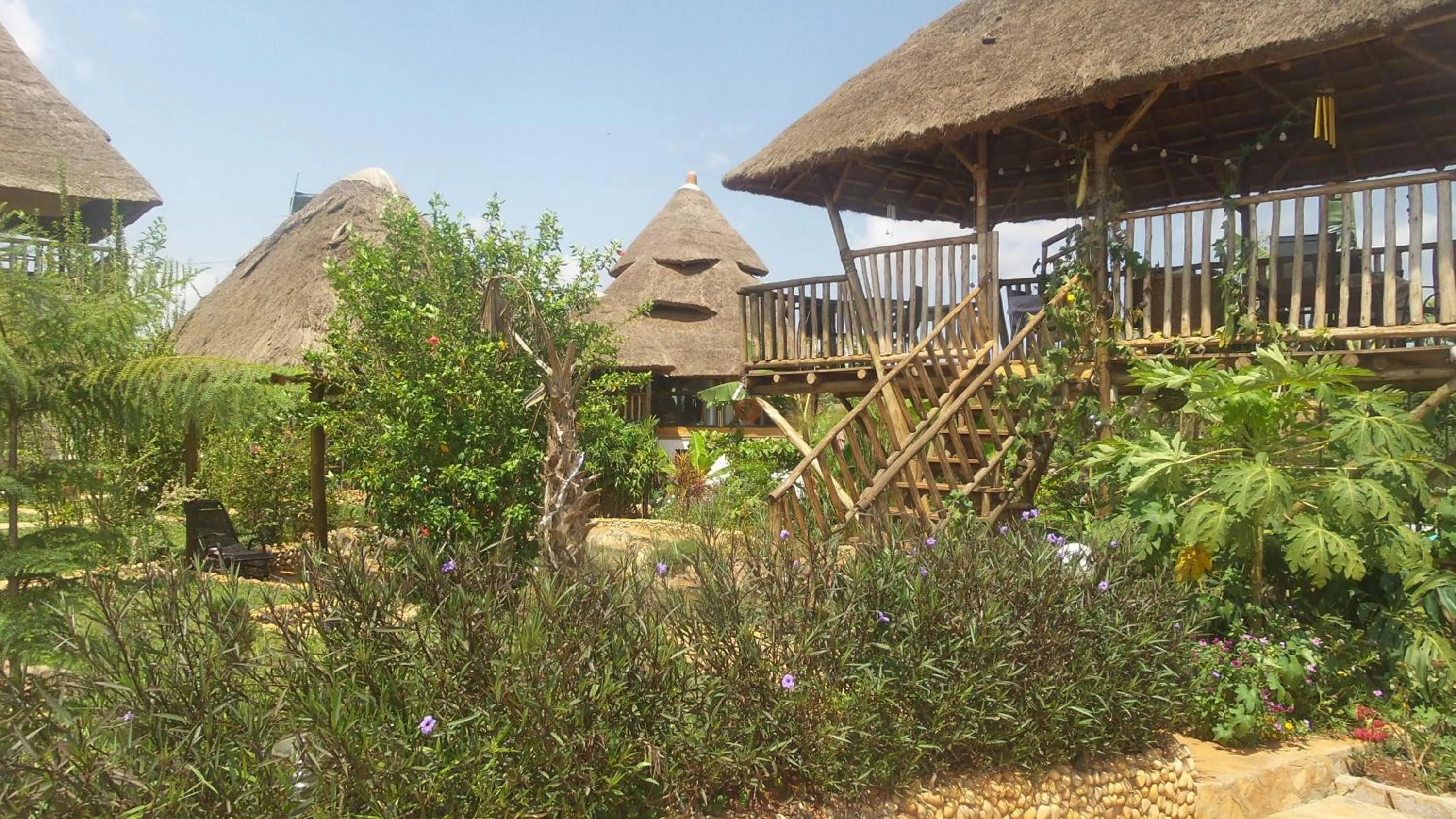 Garden view in Malakai Eco Lodge