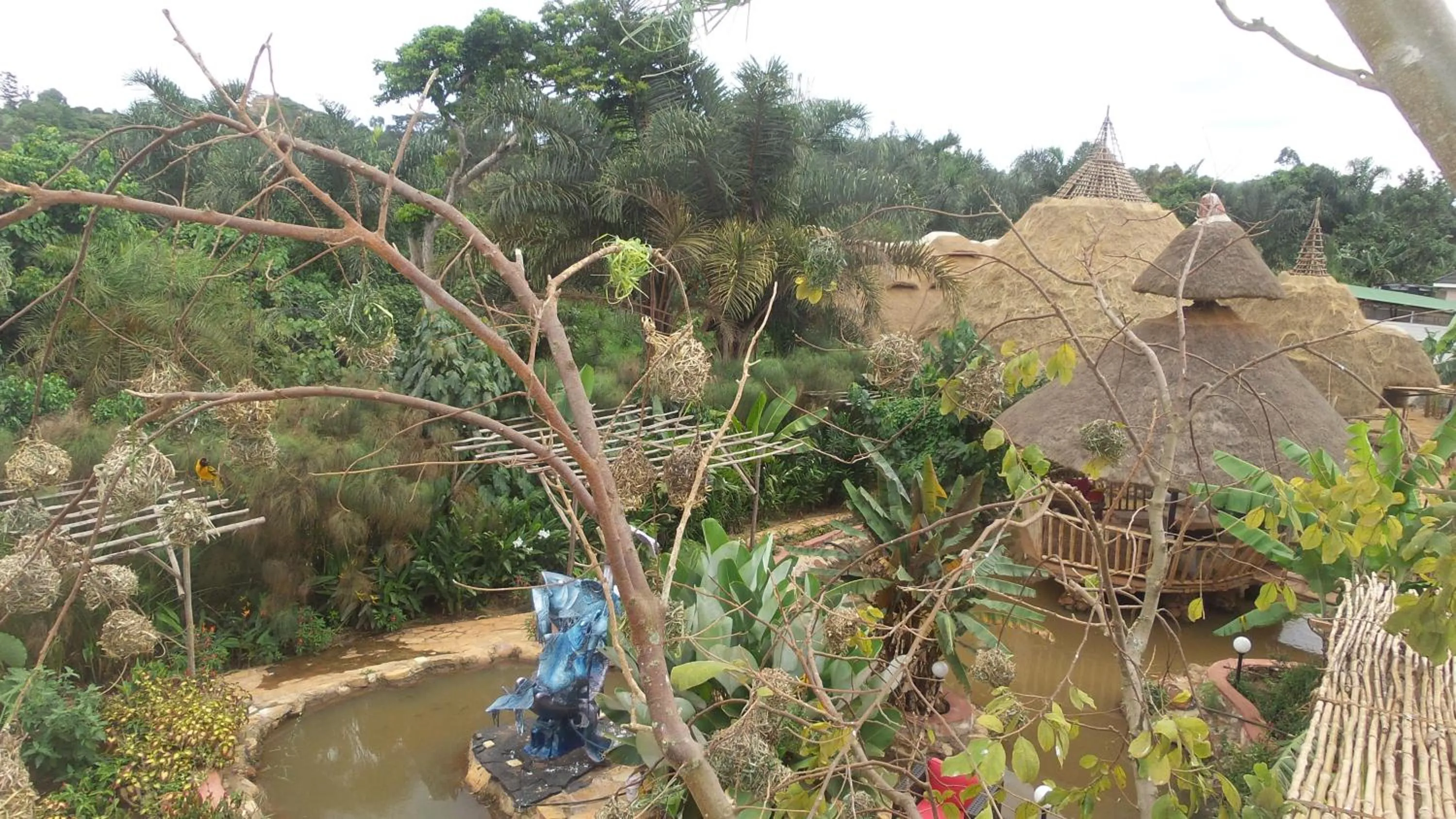 Garden view in Malakai Eco Lodge