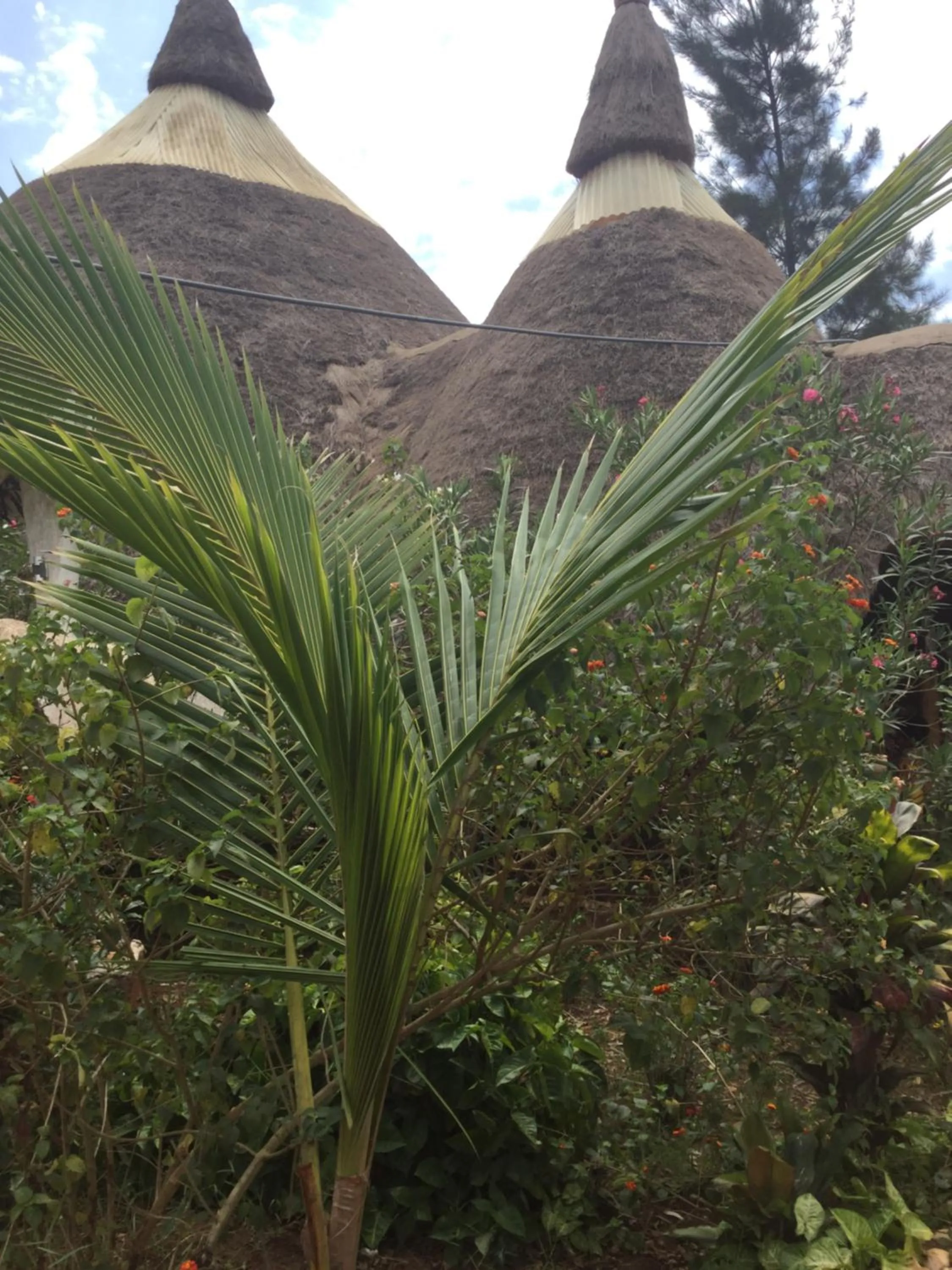 Malakai Eco Lodge
