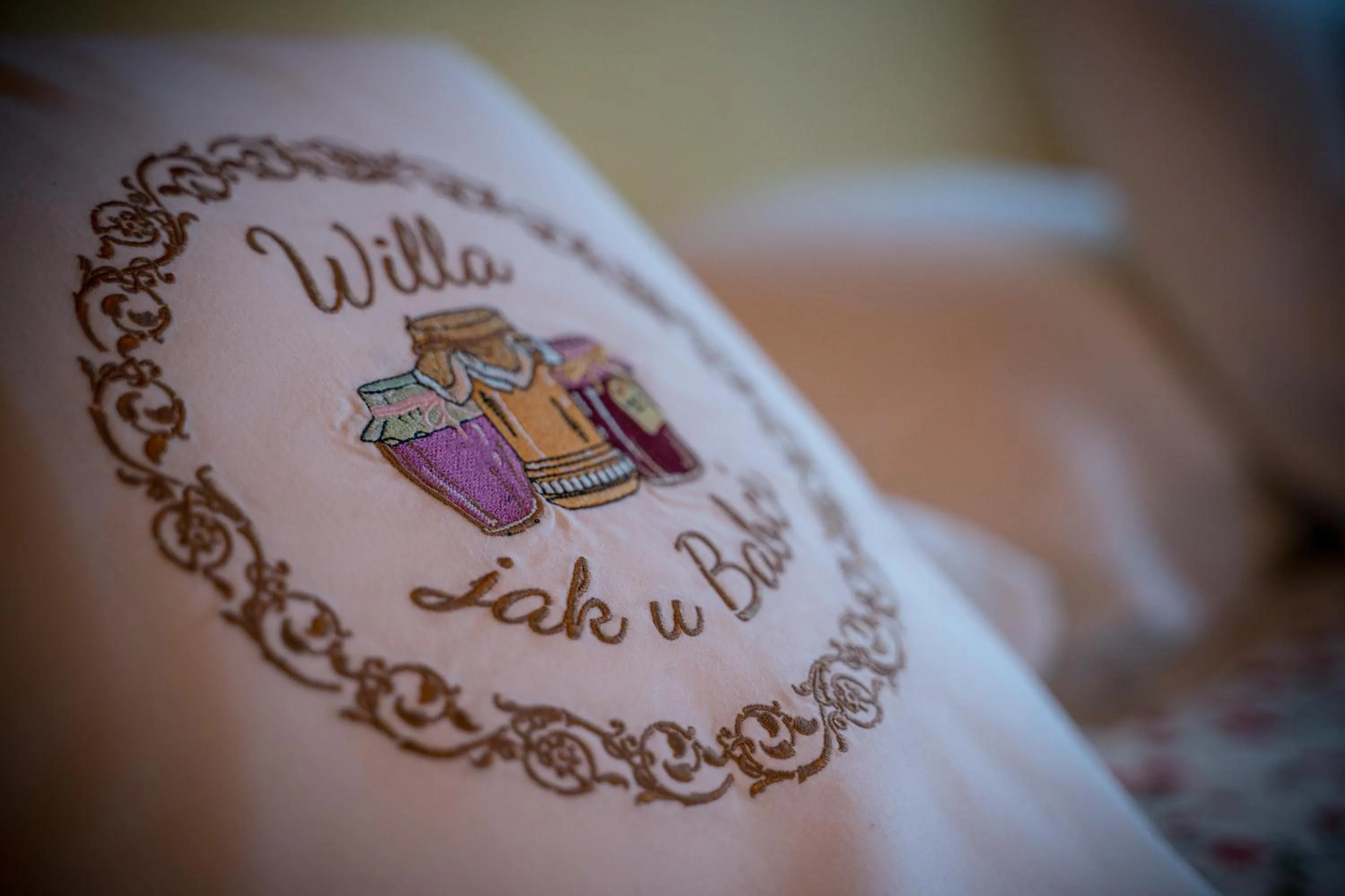 Property logo or sign in Willa jak u Babci