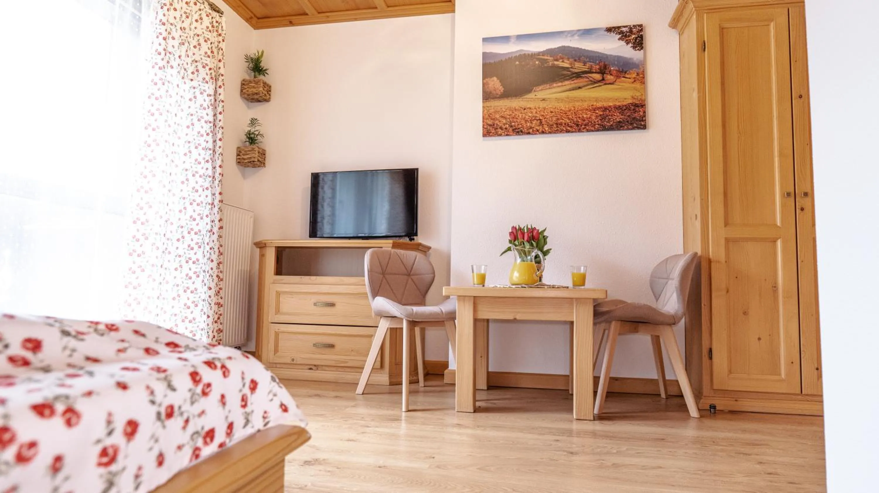 TV and multimedia, Bed in Willa jak u Babci