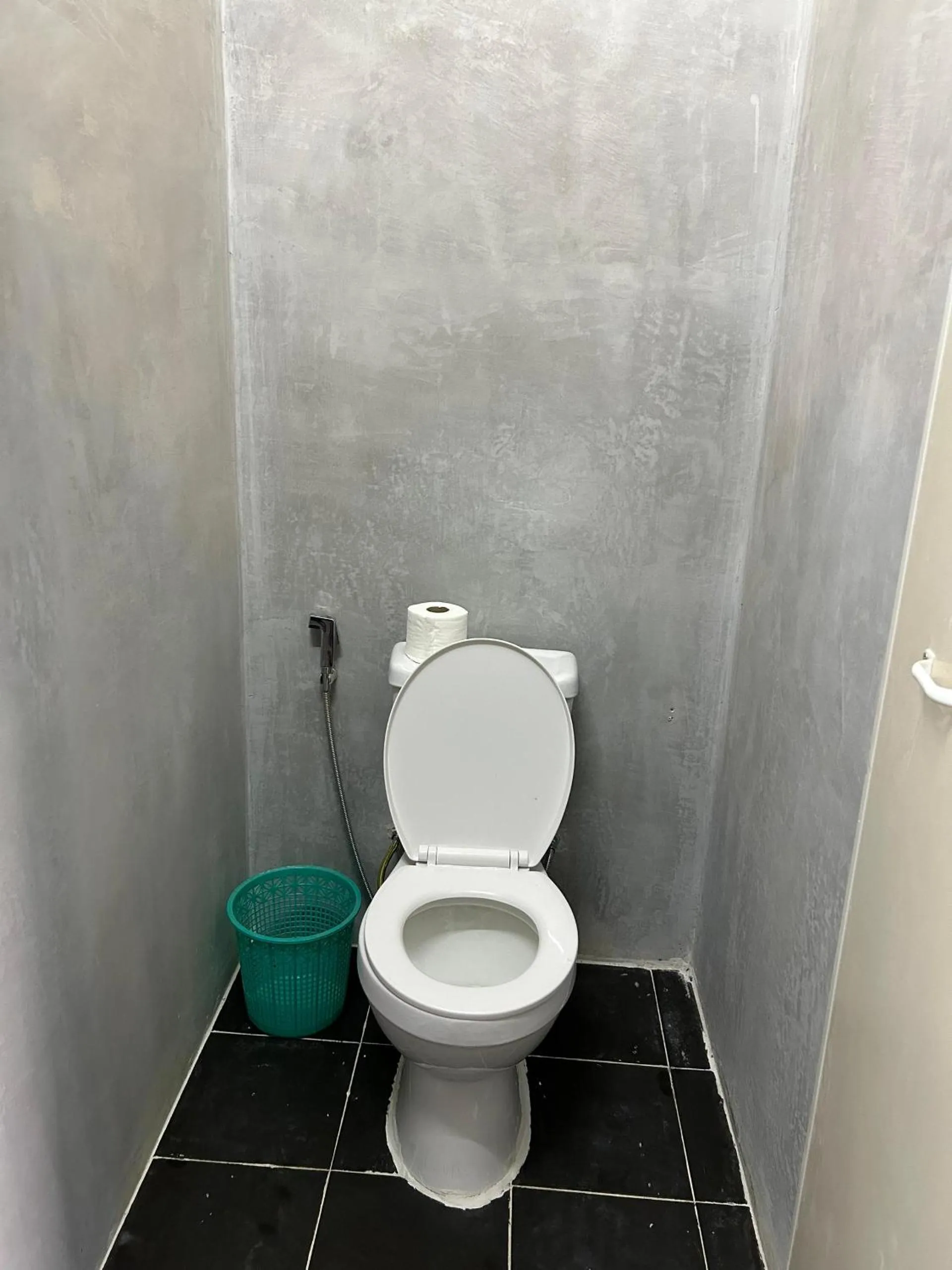 Toilet in The Drop Inn