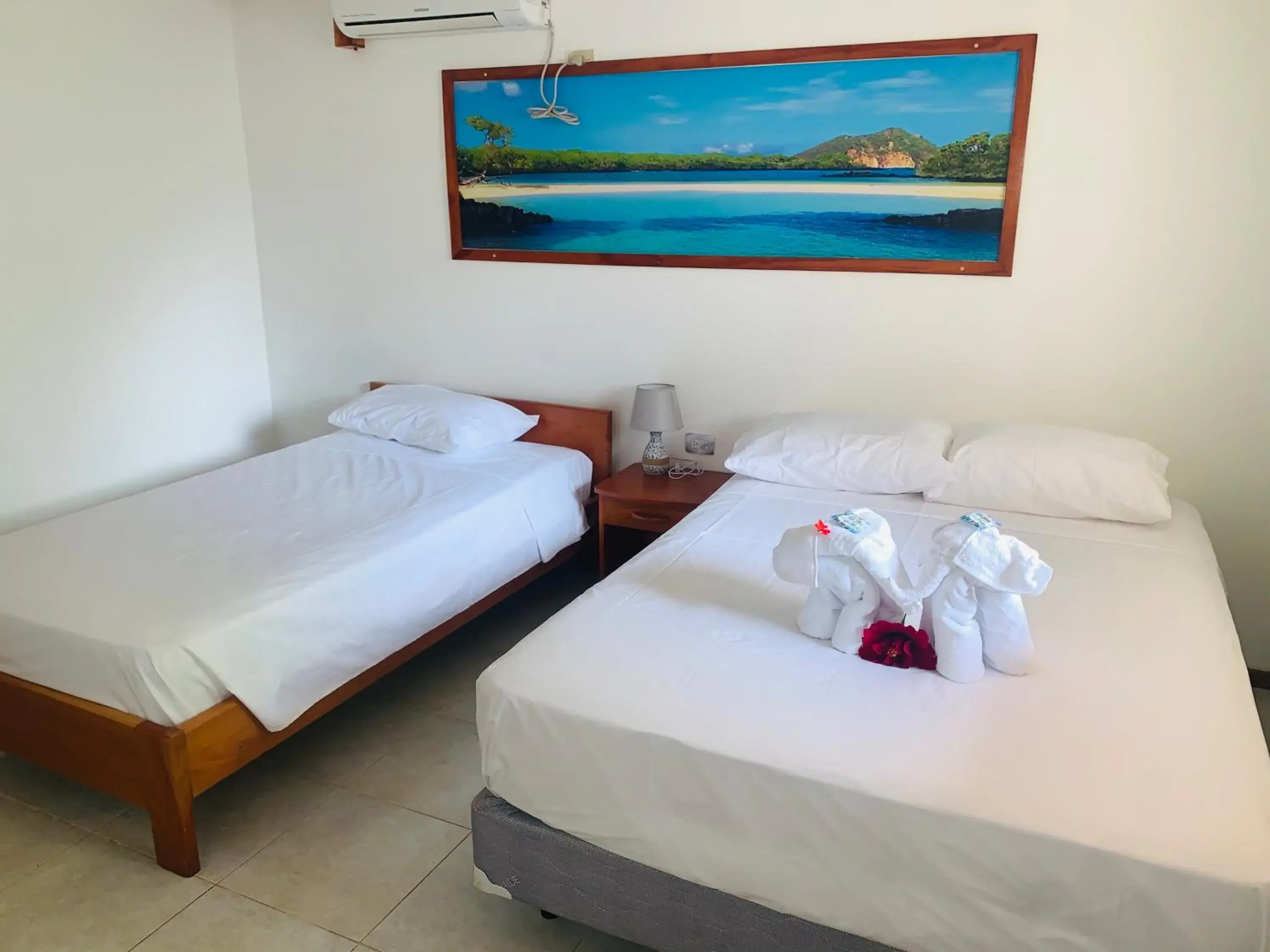 Twin Room - single occupancy in Hostal White House Galapagos Twin Room - single occupancy in Hostal White House Galapagos