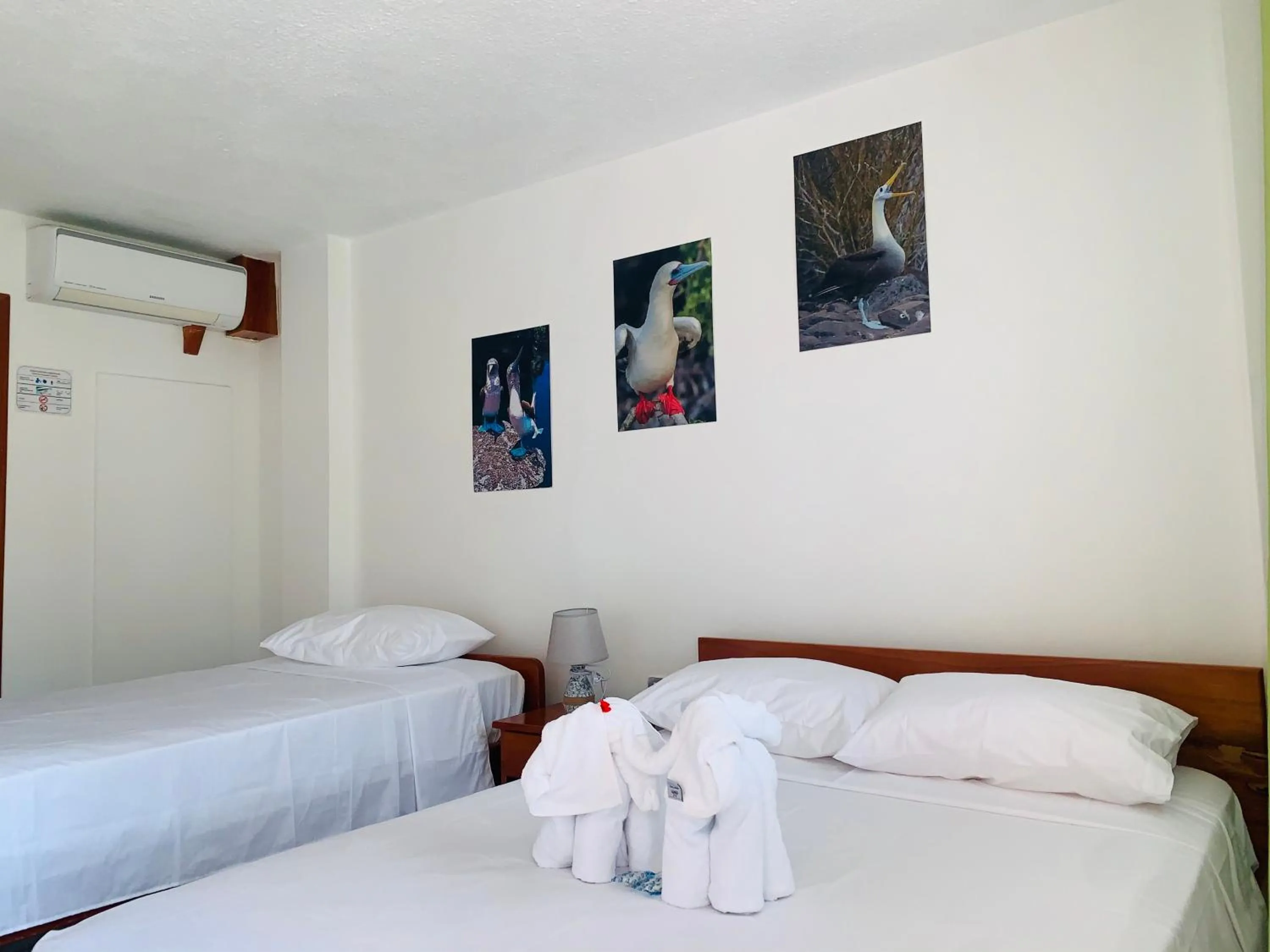 Bed in Hostal White House Galapagos