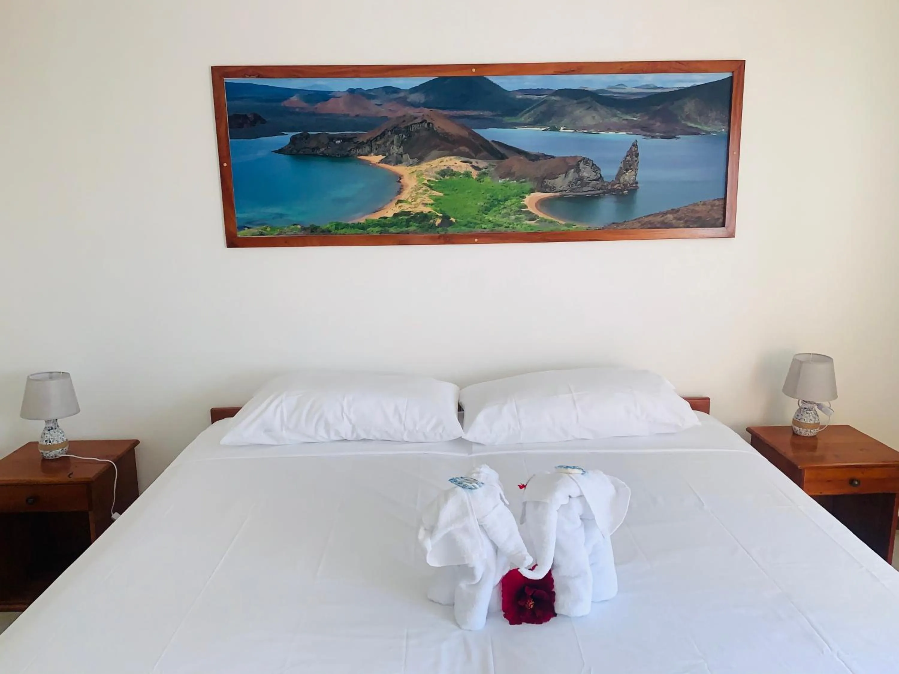 Bed in Hostal White House Galapagos