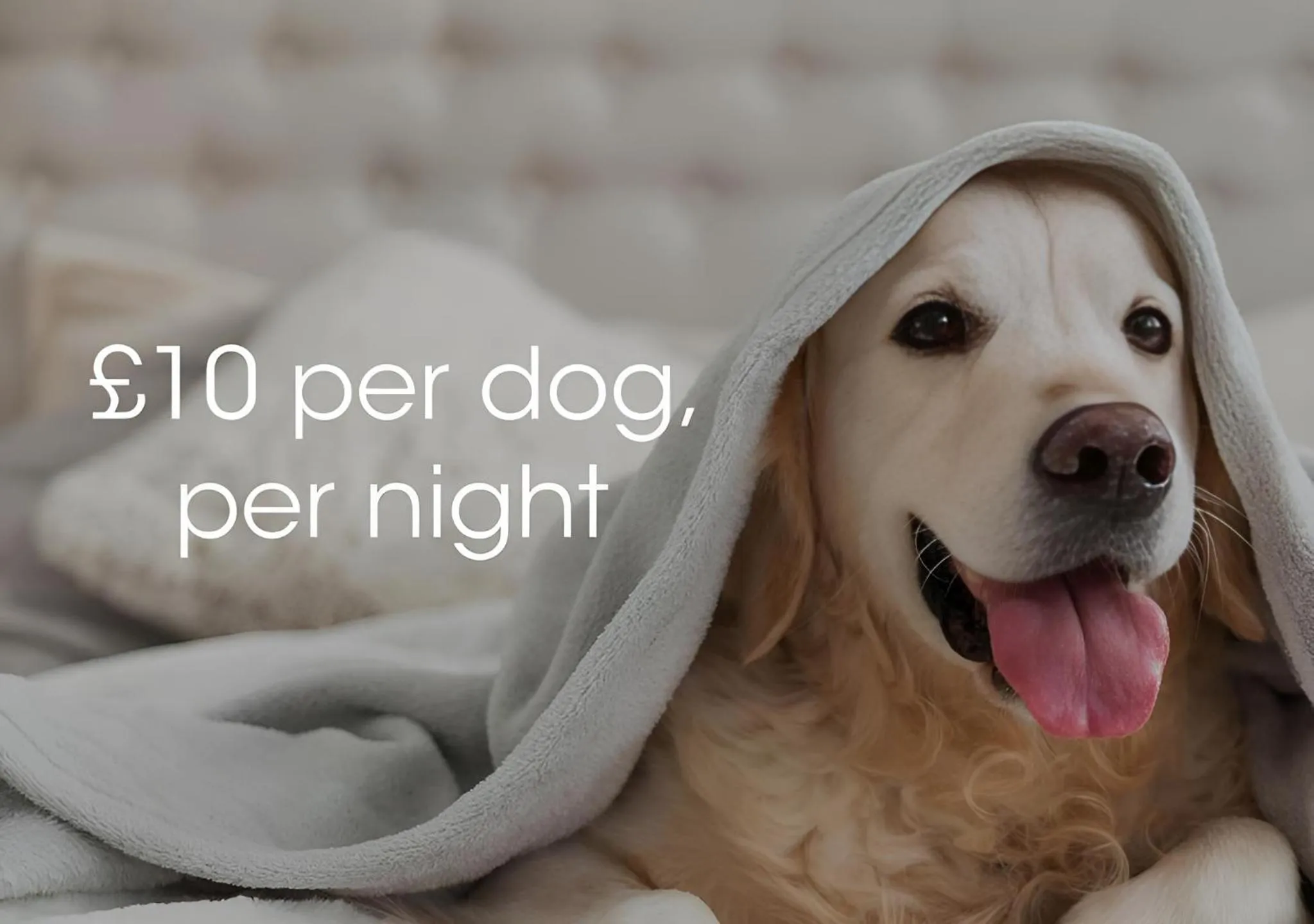 Text overlay in The Carlton Hotel