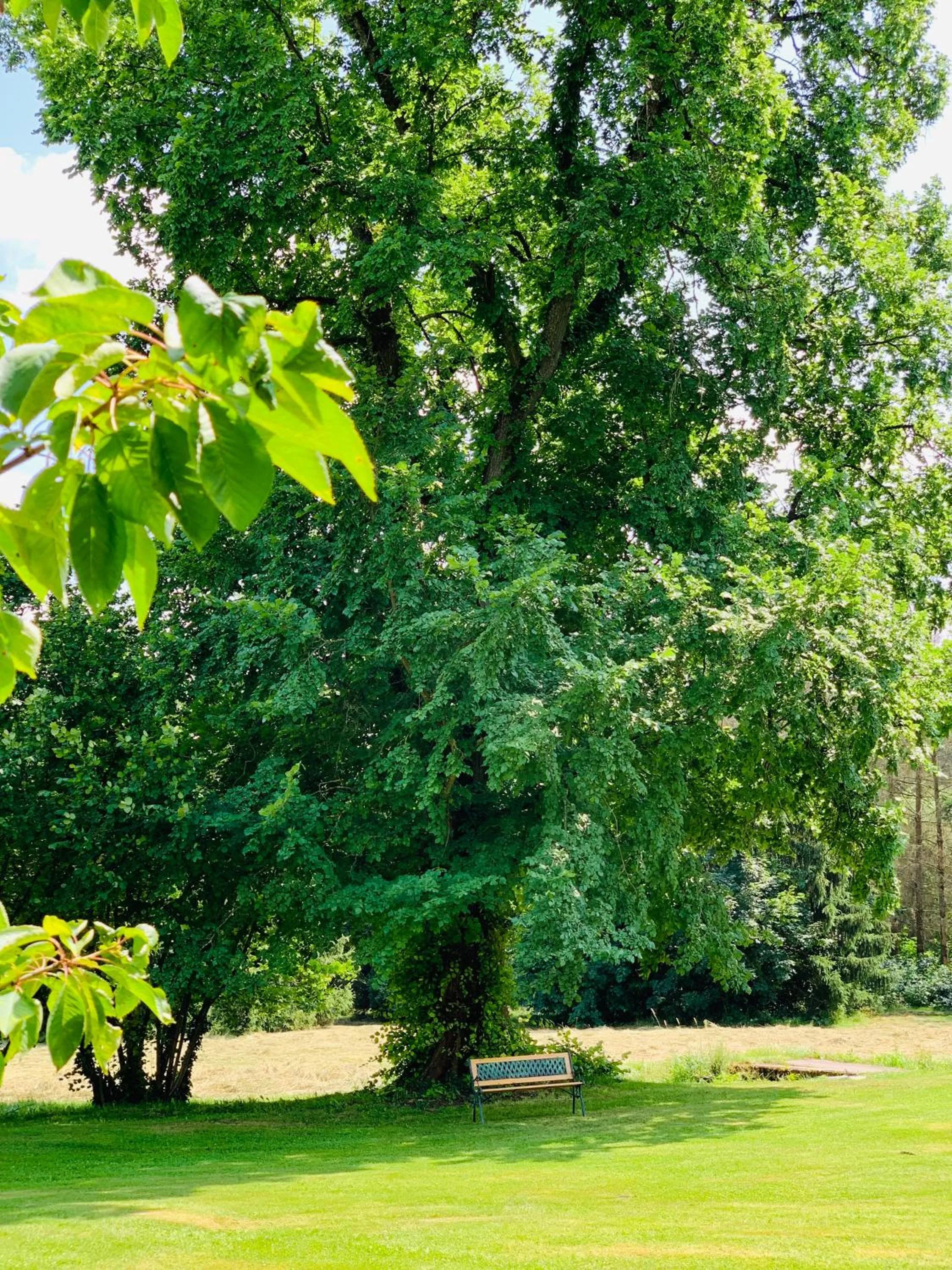 Property building in Jagdschloß Walkenried