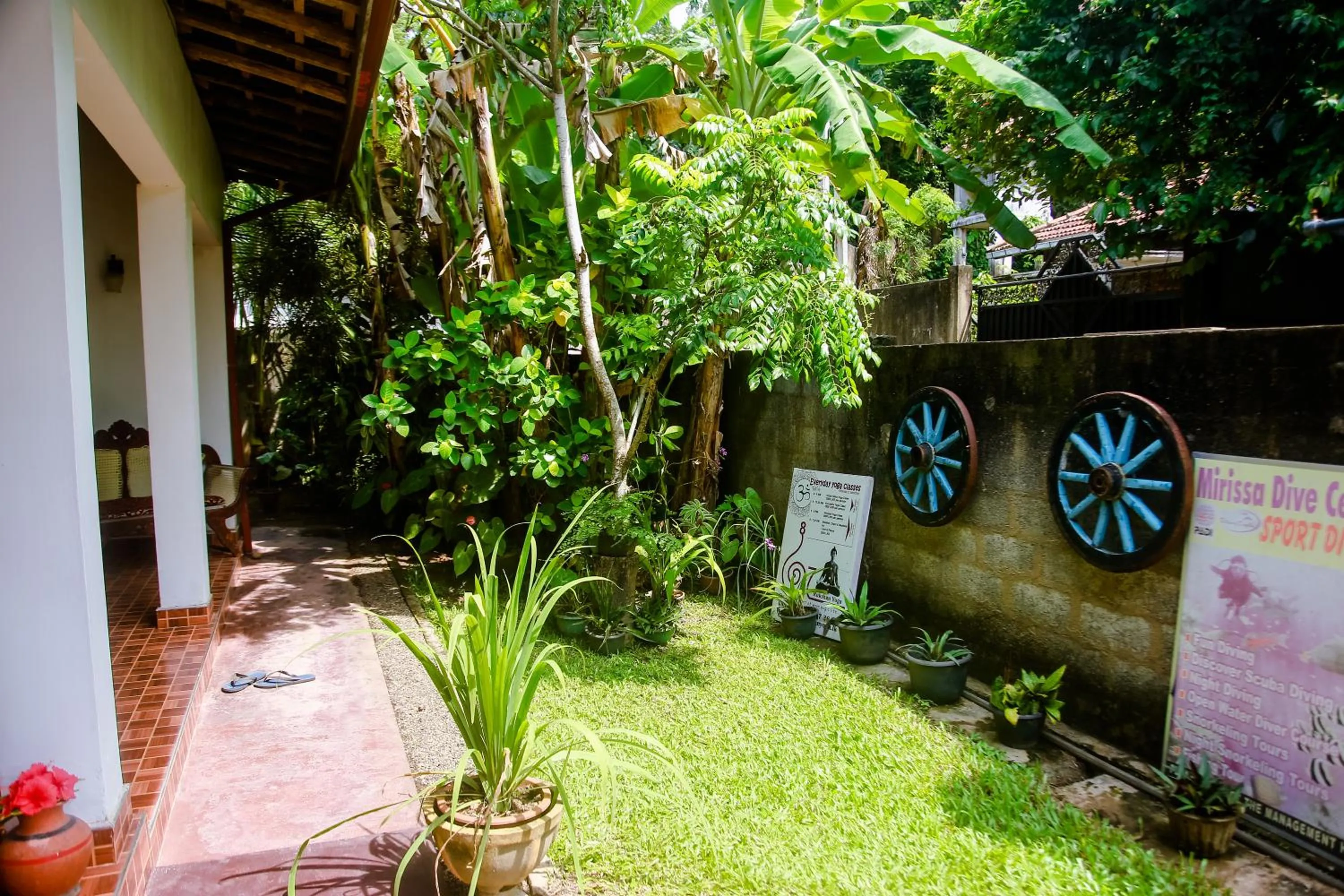 Garden in Ranjith Guest