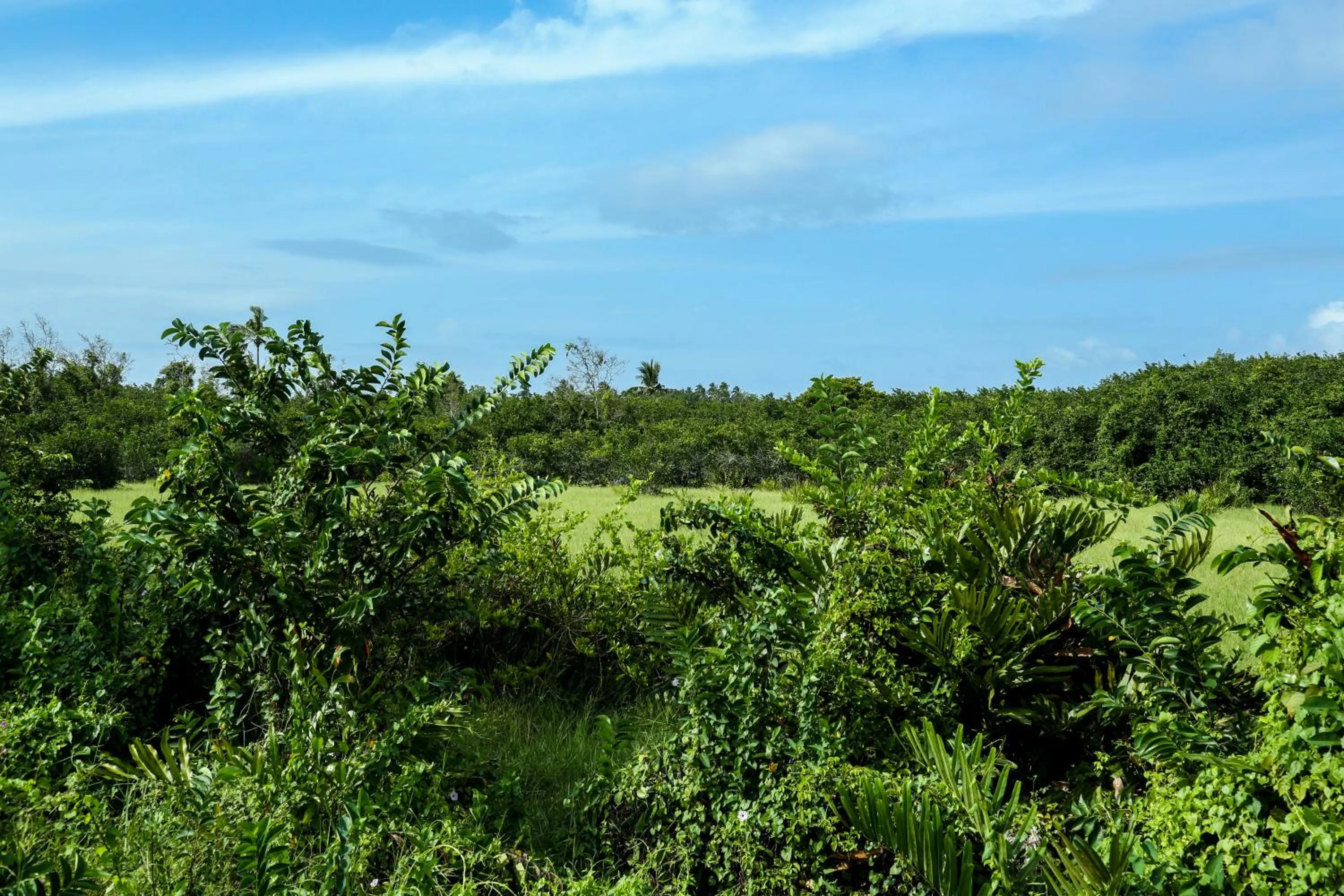Neighbourhood in Ranjith Guest