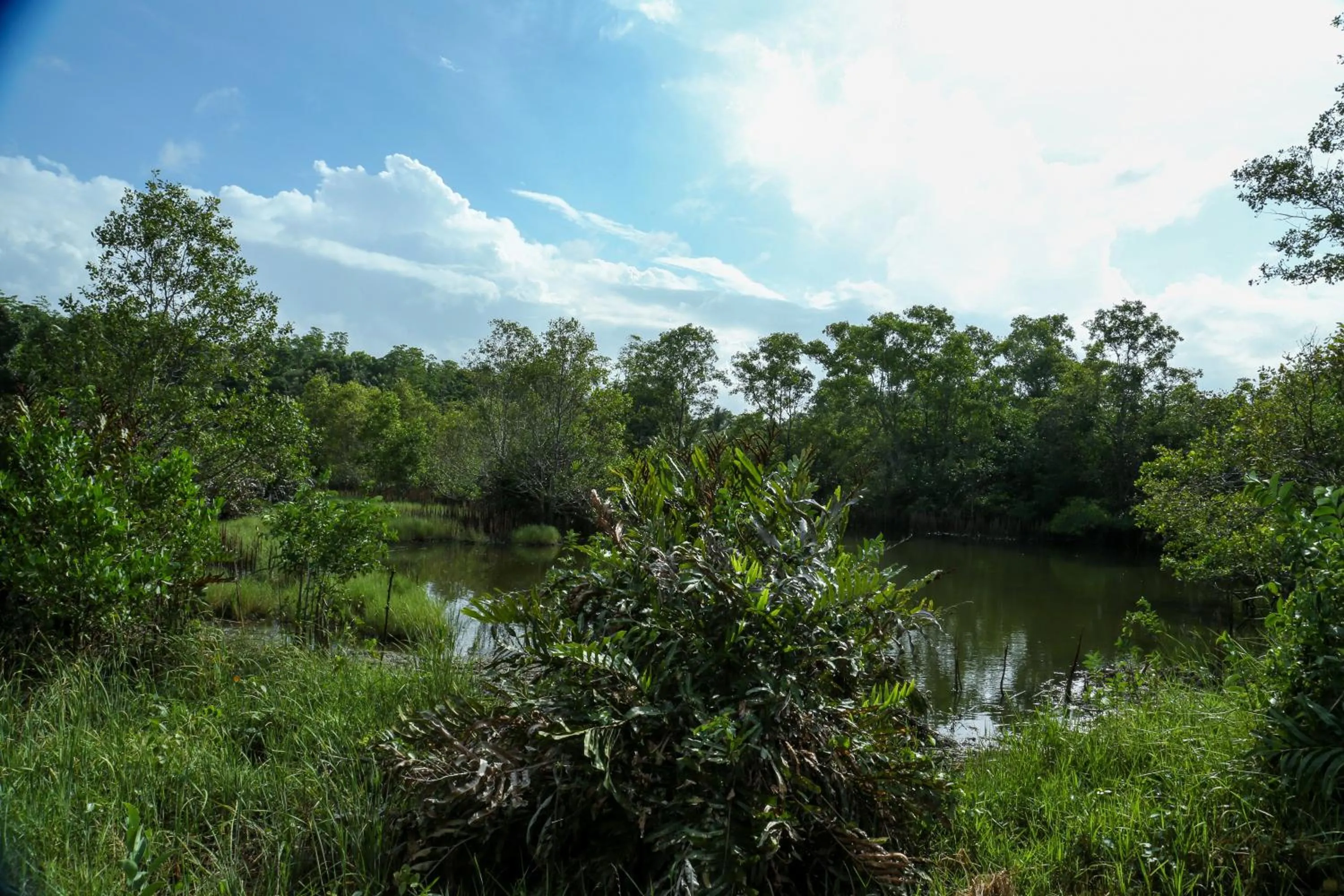 Natural landscape in Ranjith Guest