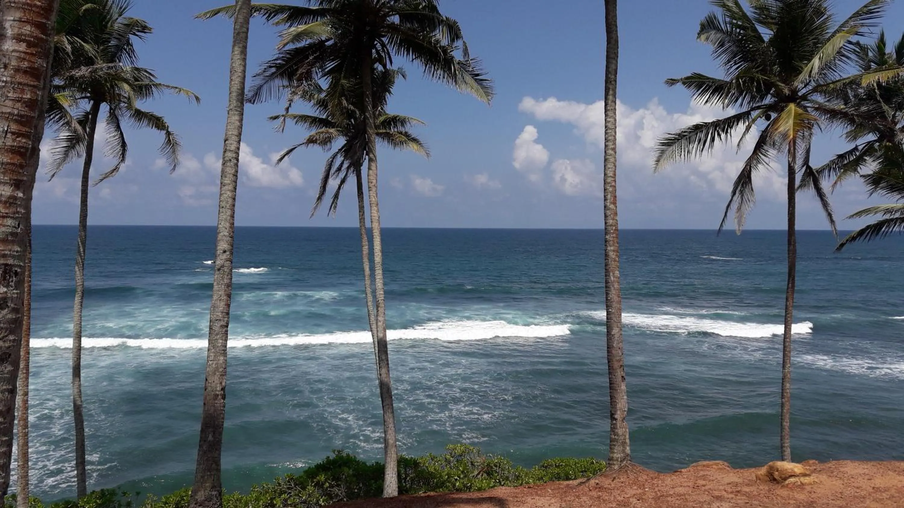 Beach in Ranjith Guest