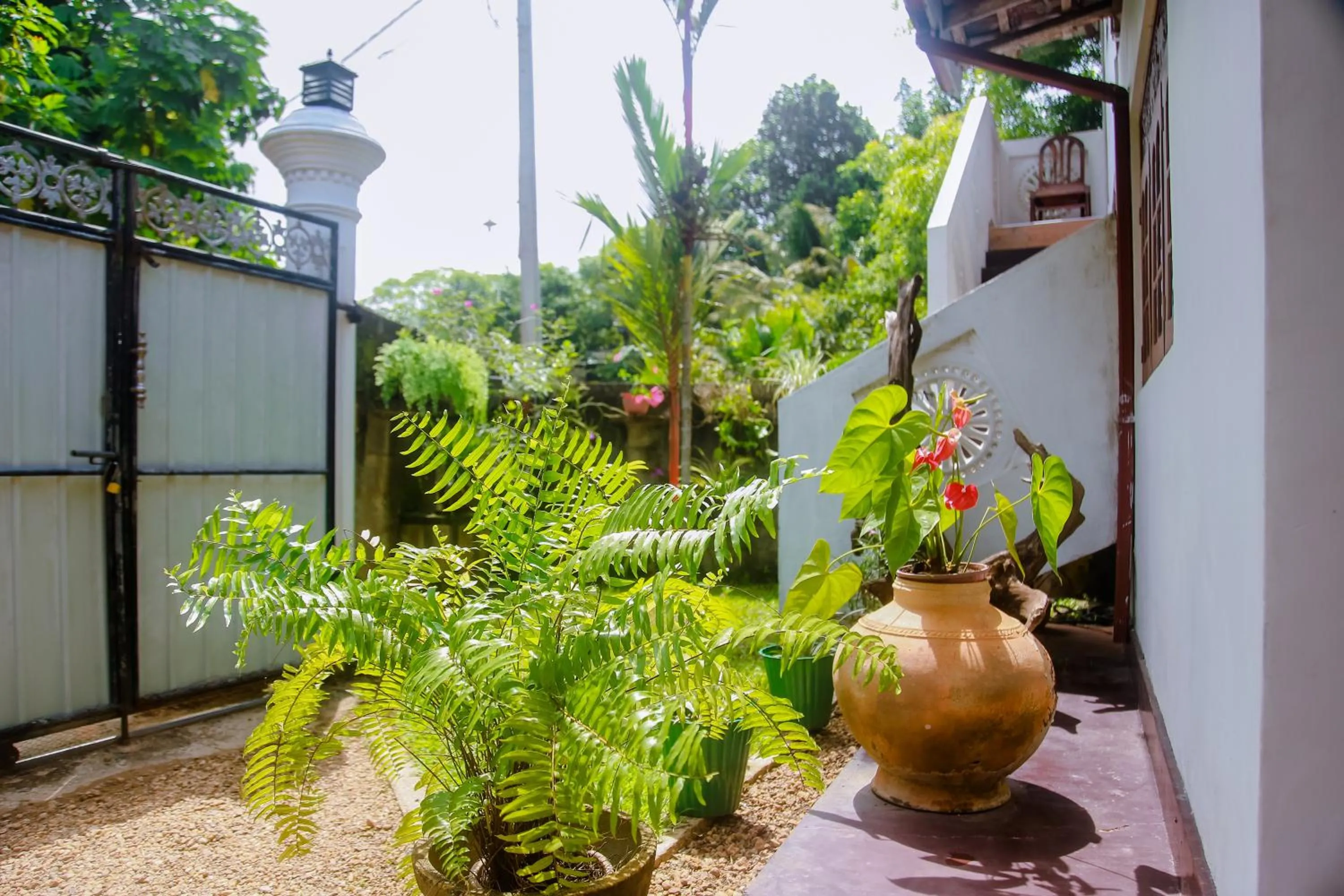 Garden view in Ranjith Guest