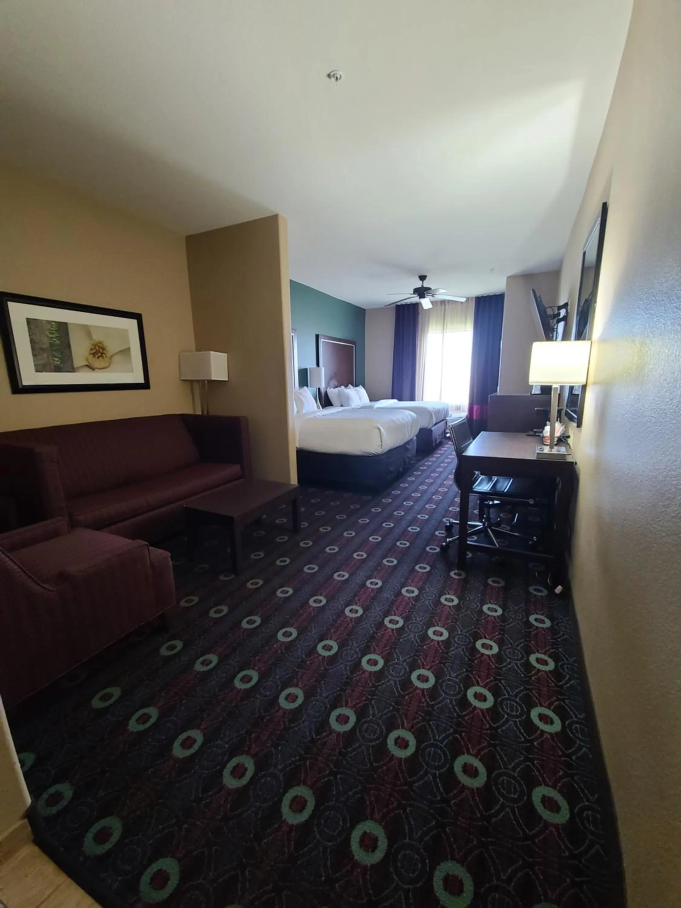 Photo of the whole room, Bed in Comfort Inn & Suites San Marcos near Outlet Mall