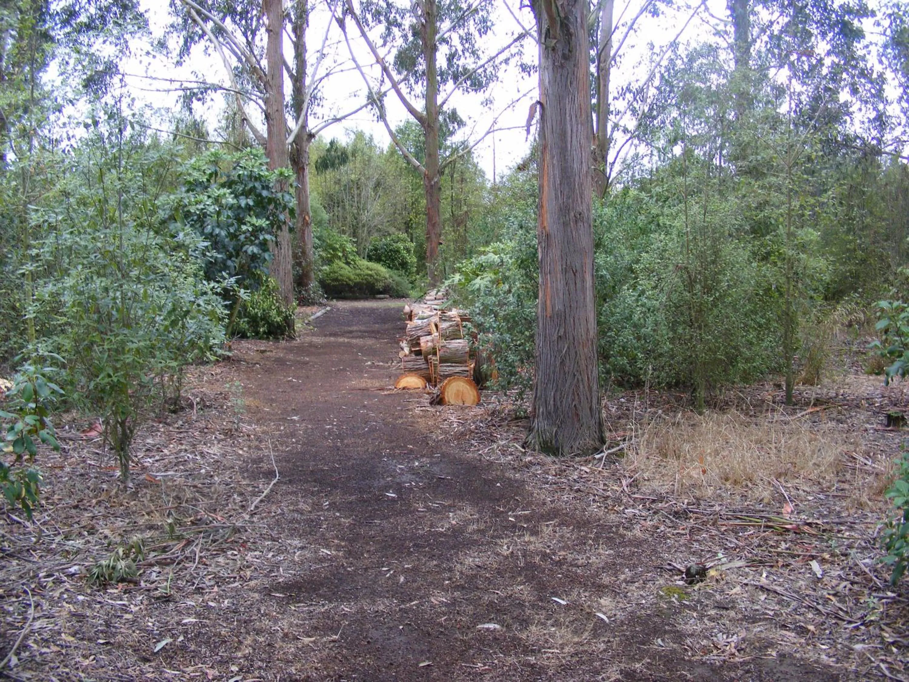 On site in Posto Bello