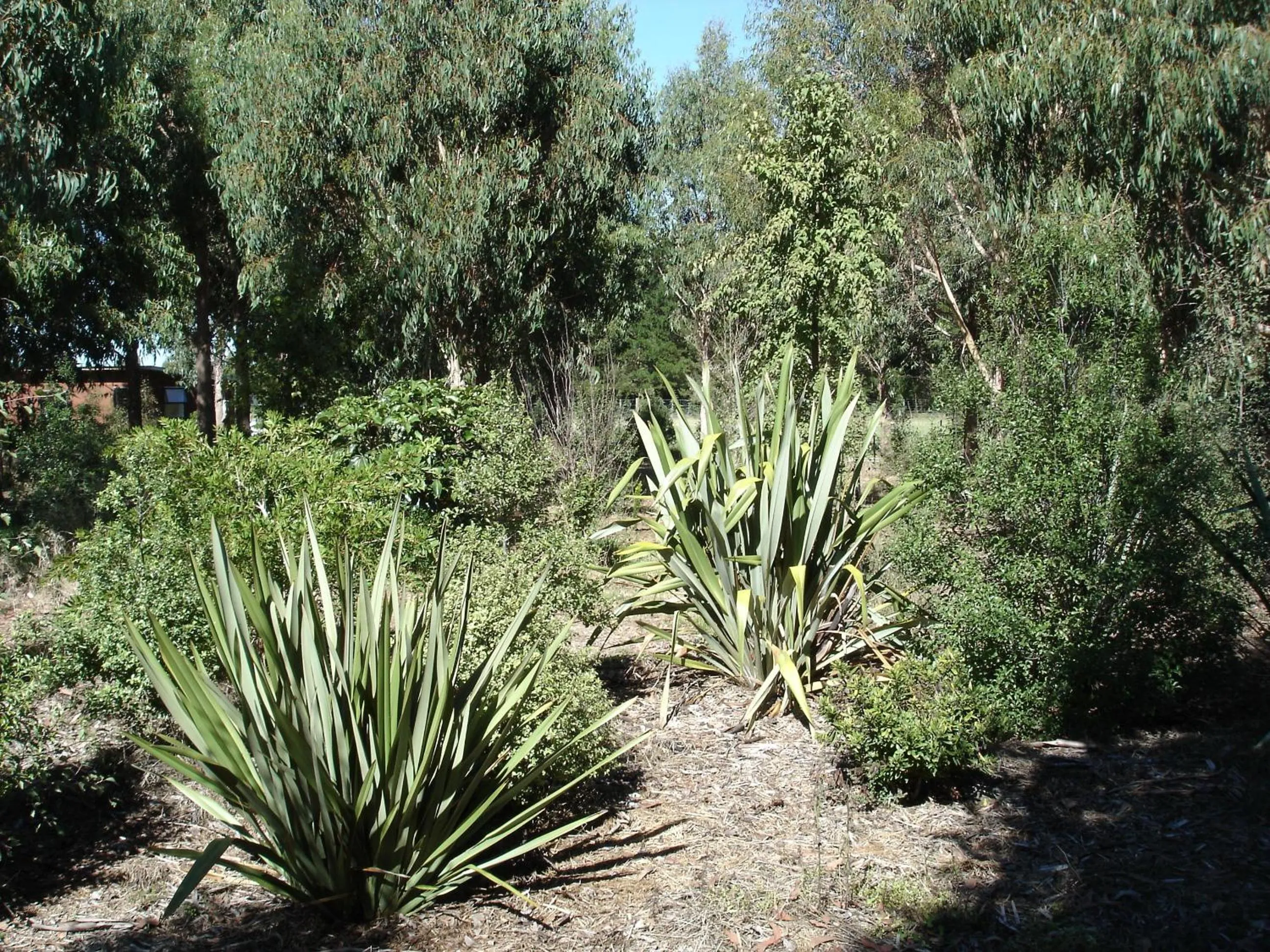 On site in Posto Bello