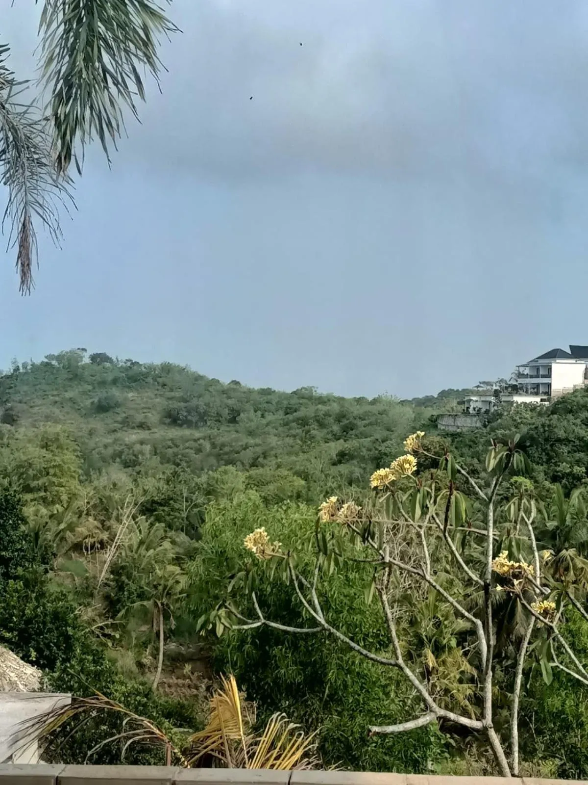 Garden in Kelingking Paradise Suites Villa