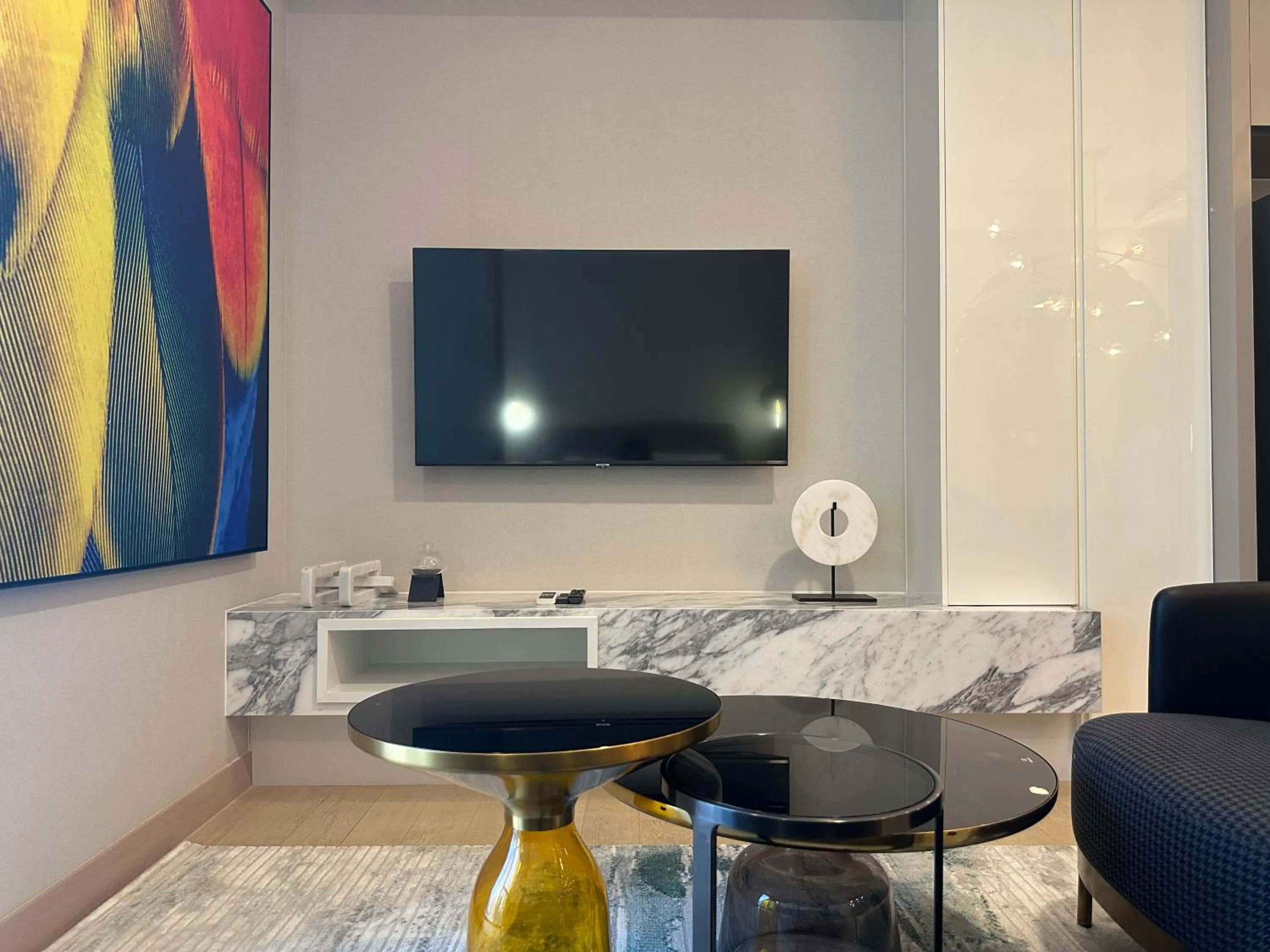 TV and multimedia in Siamese Exclusive Queens