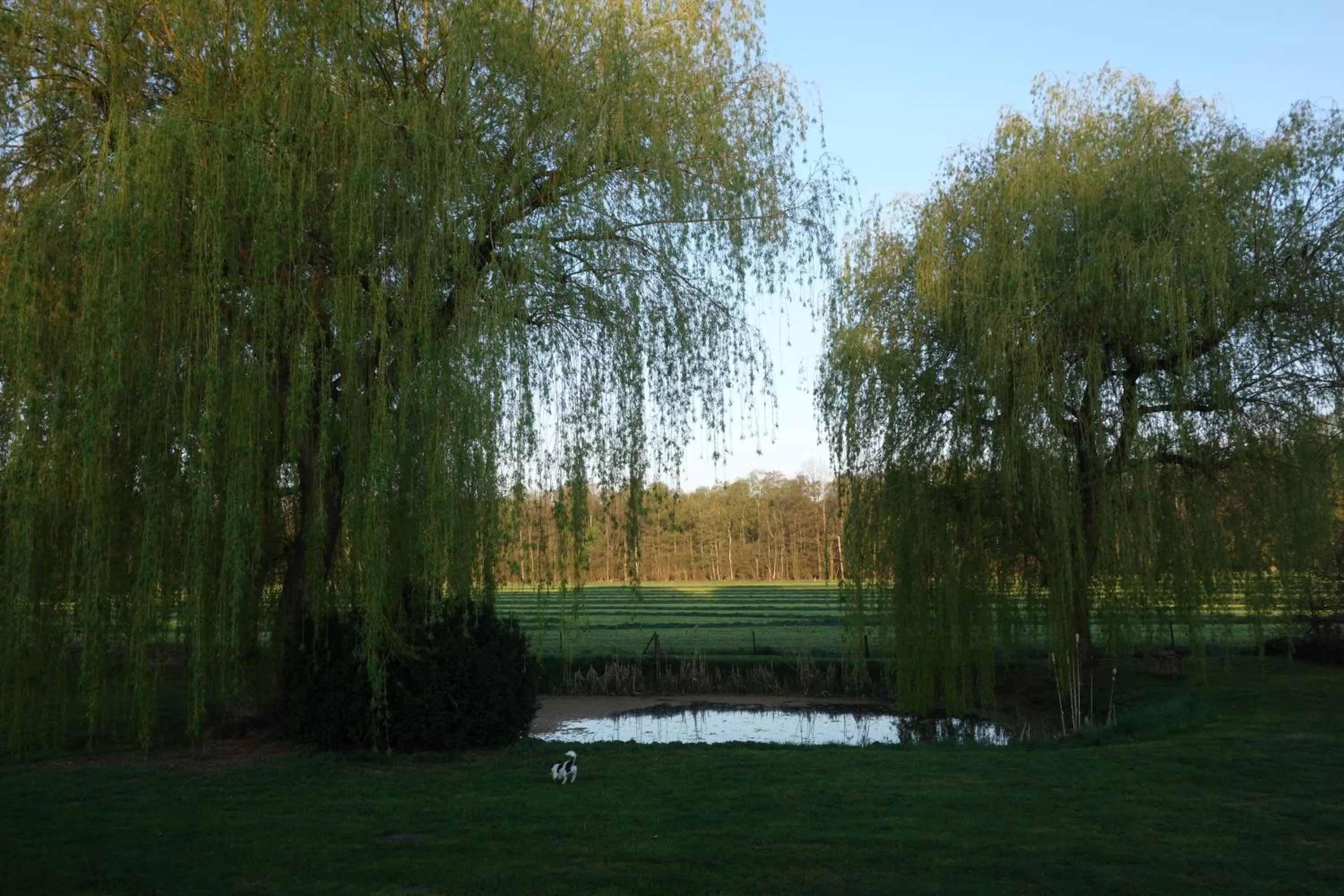 Property building in Hotel & Restaurant Venner Moor