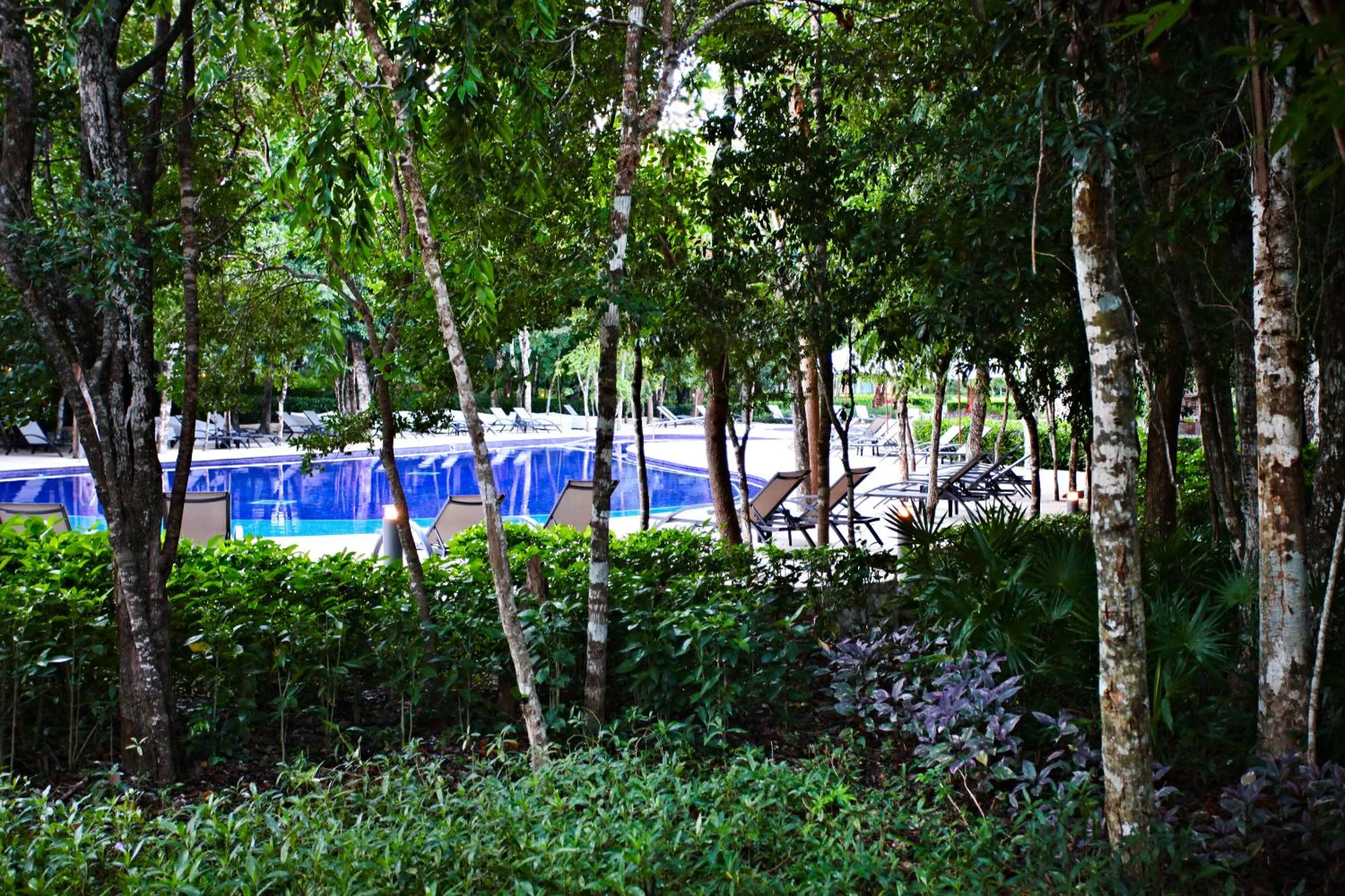 Spring in Bahia Principe Luxury Sian Ka´an - Adults Only - All Inclusive