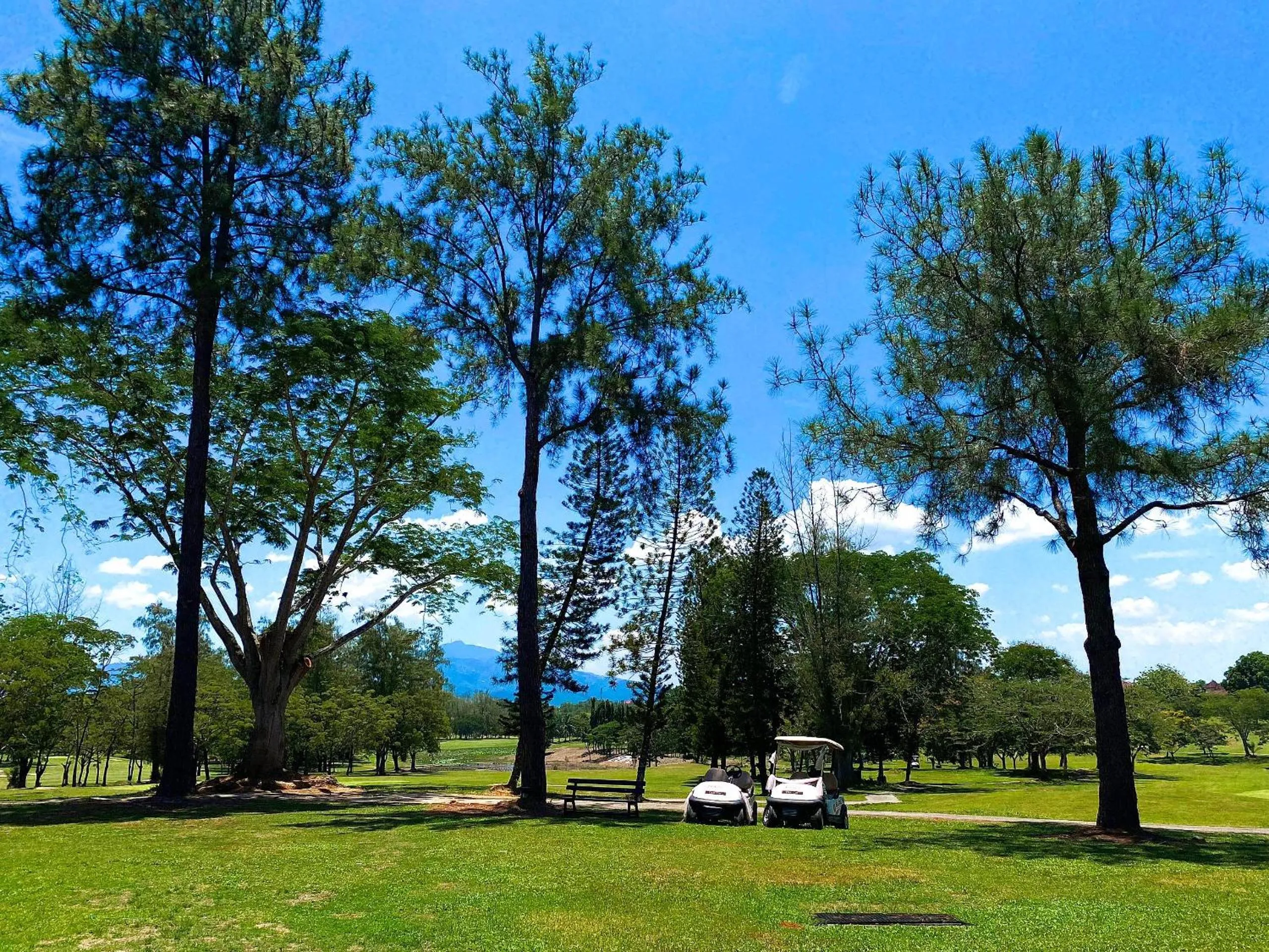 Garden in Cinta Sayang Resort