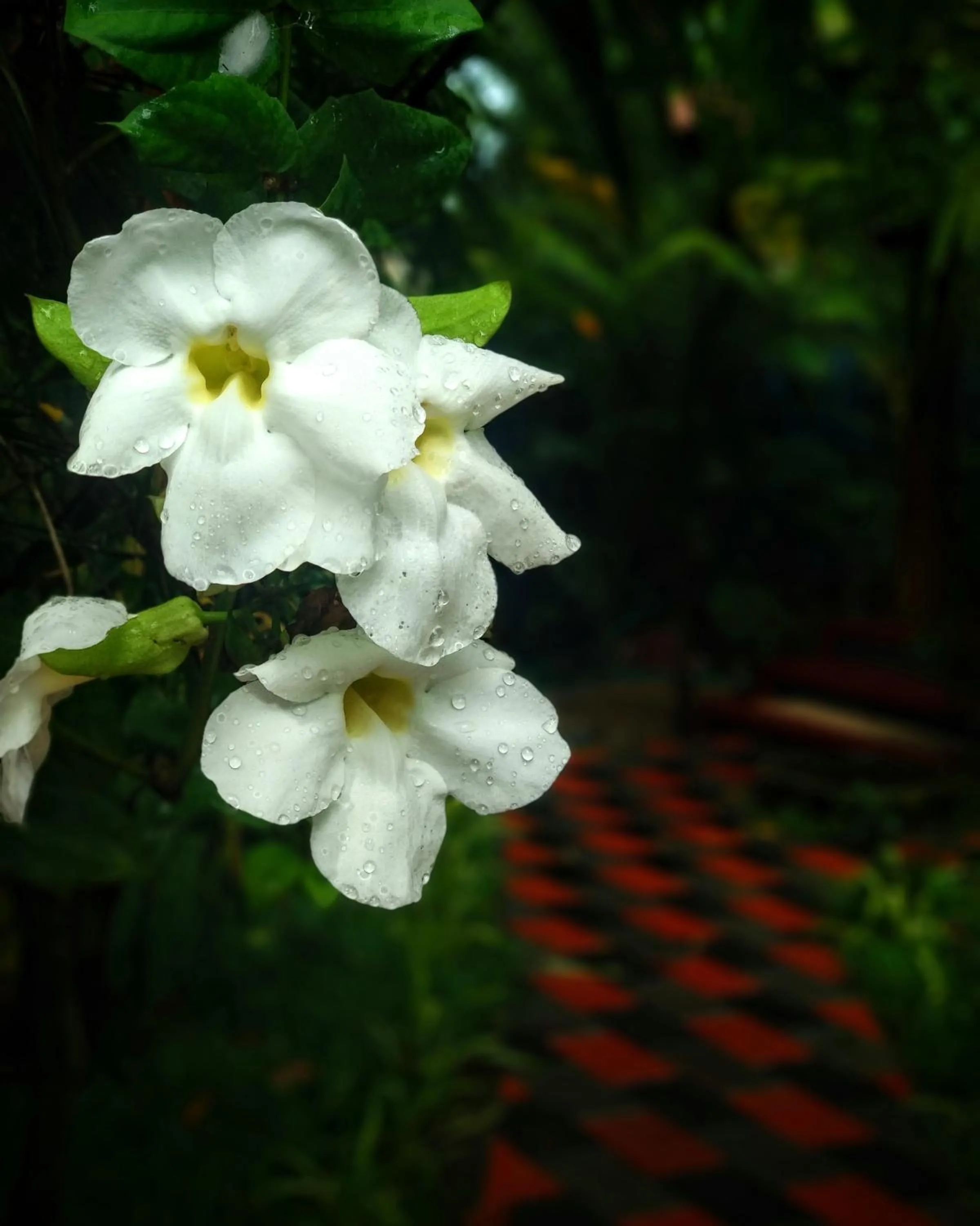 Marari Umapathi Beach Villa