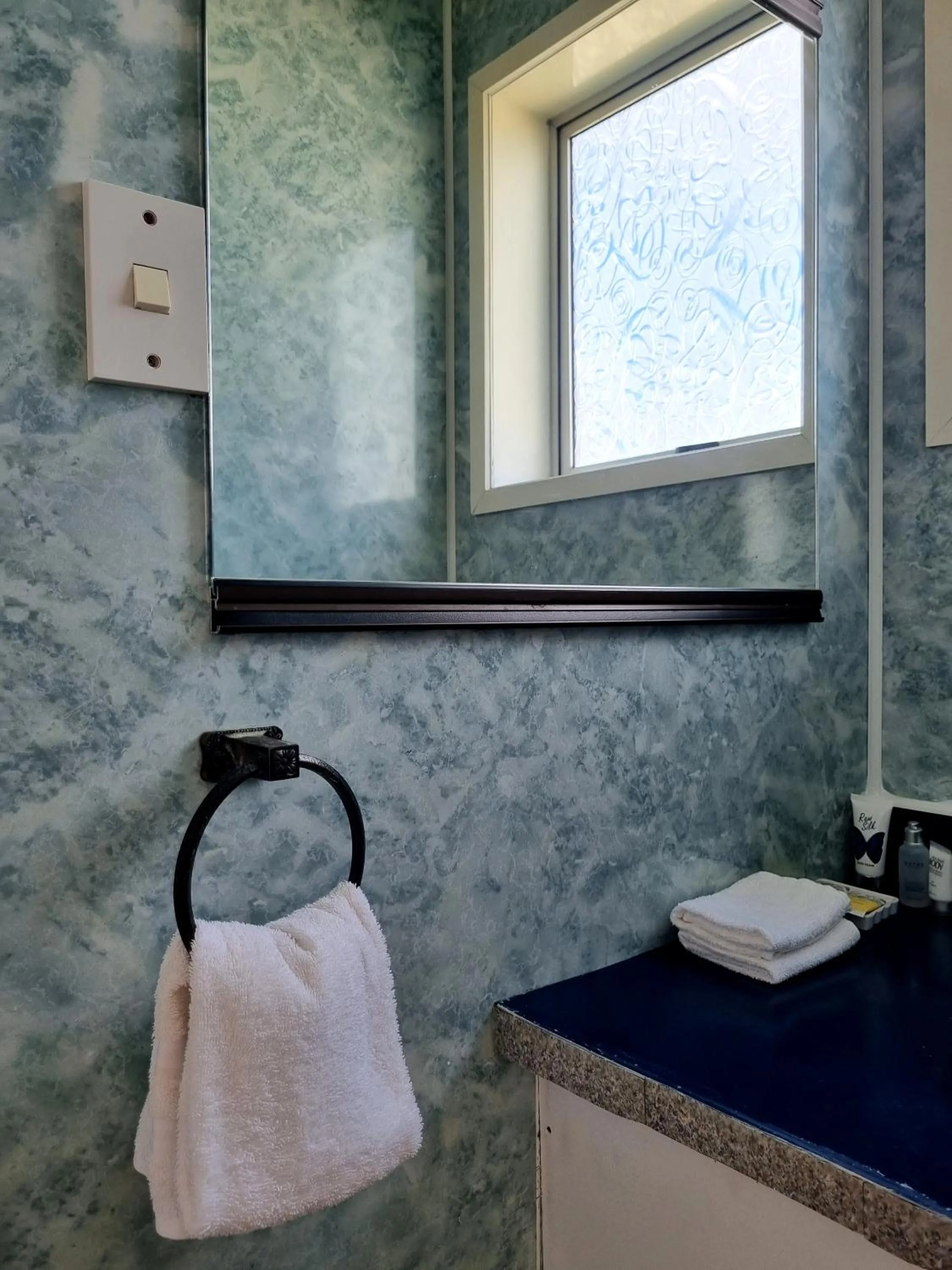 Bathroom in Cedar Lodge Motel Hamilton