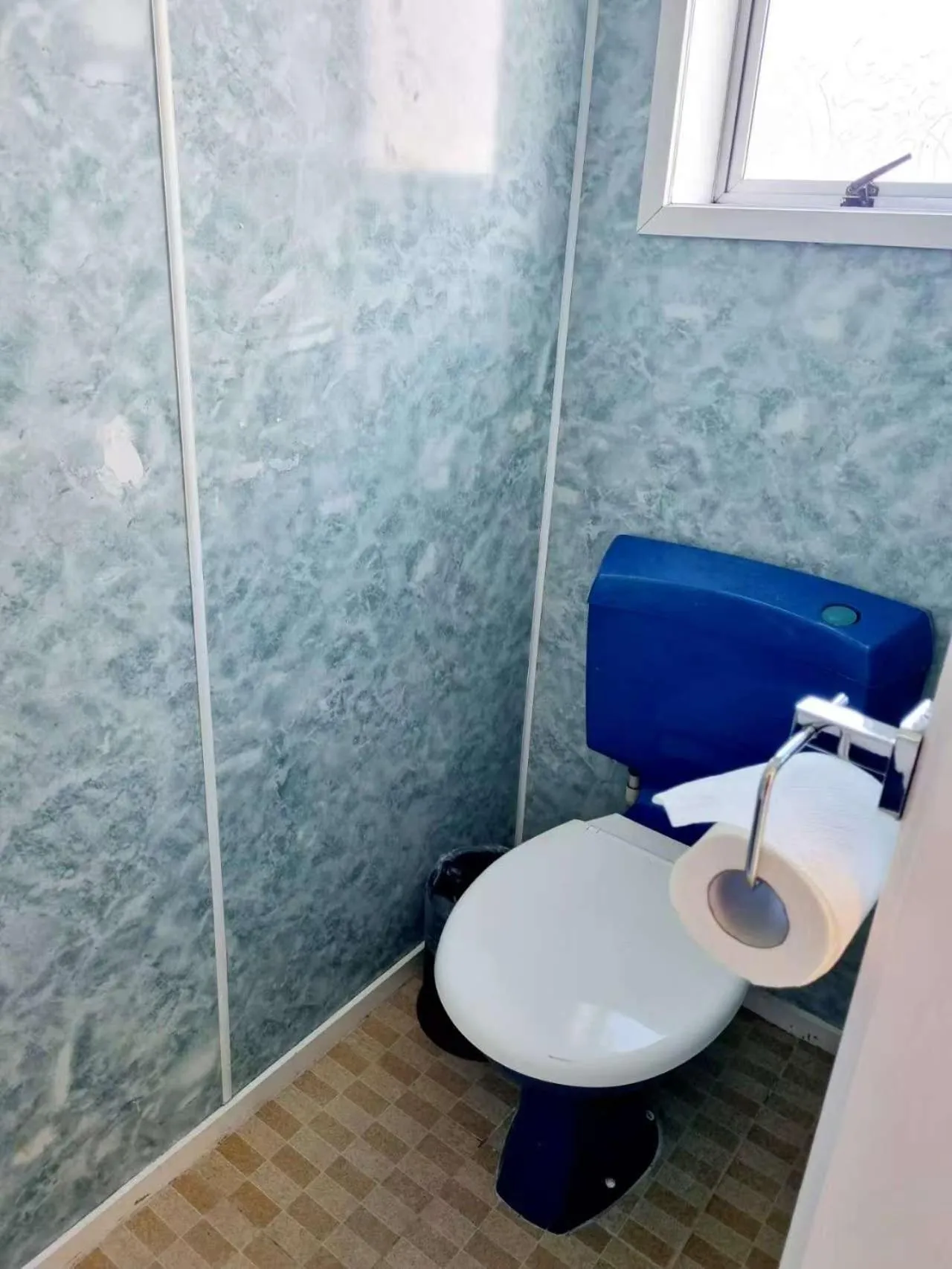 Toilet in Cedar Lodge Motel Hamilton