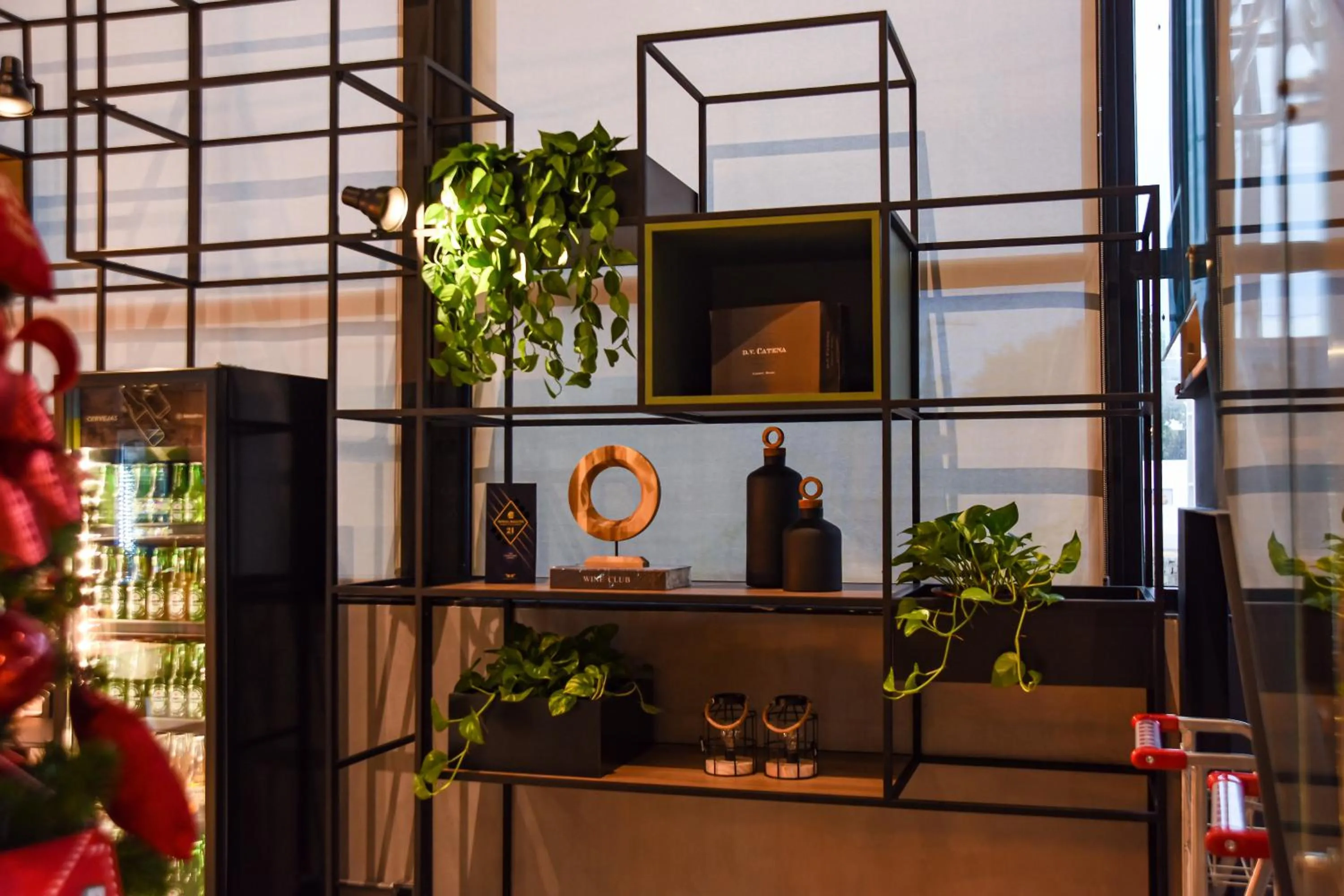 Decorative detail in ibis Tangará Da Serra