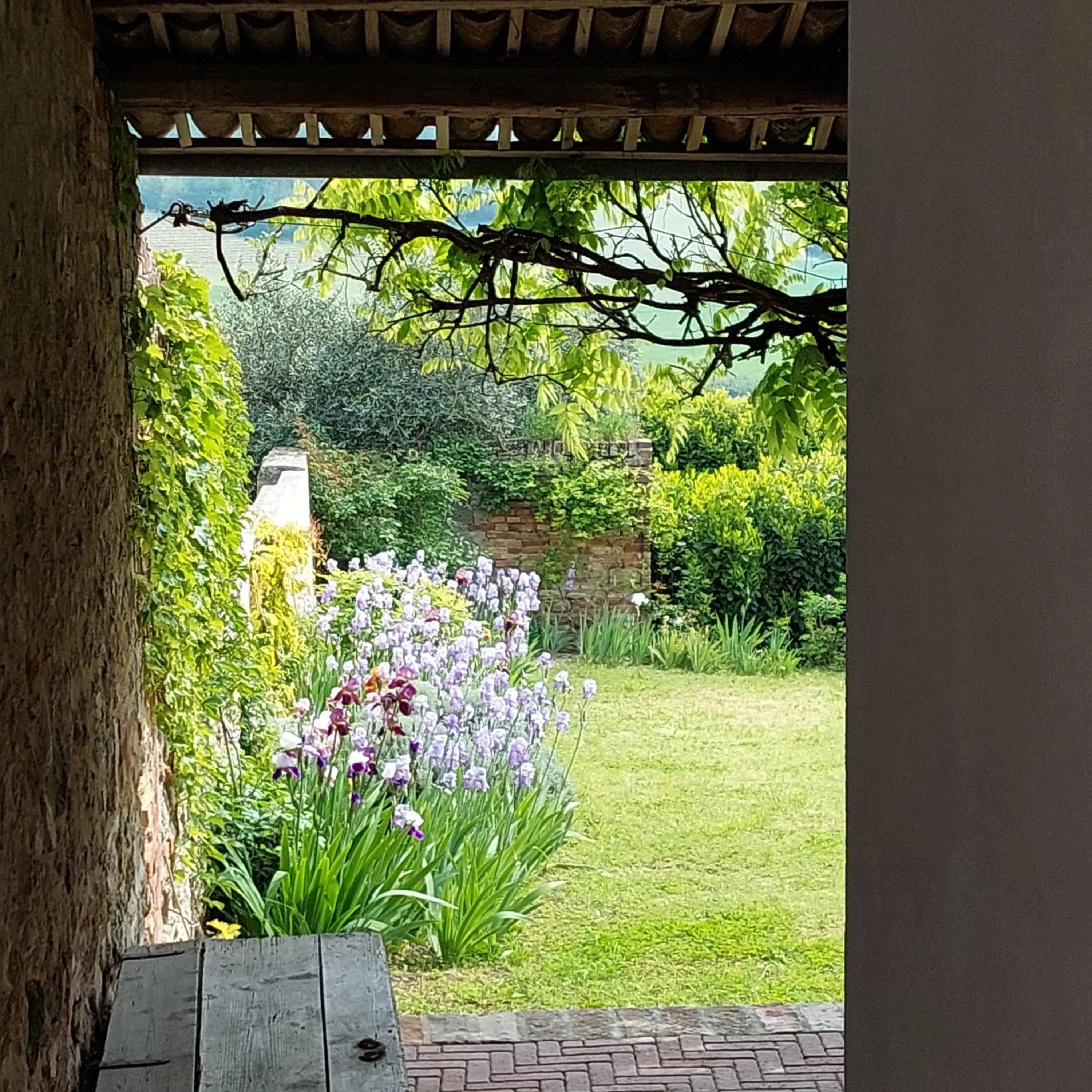 Garden in Casa Rovelli