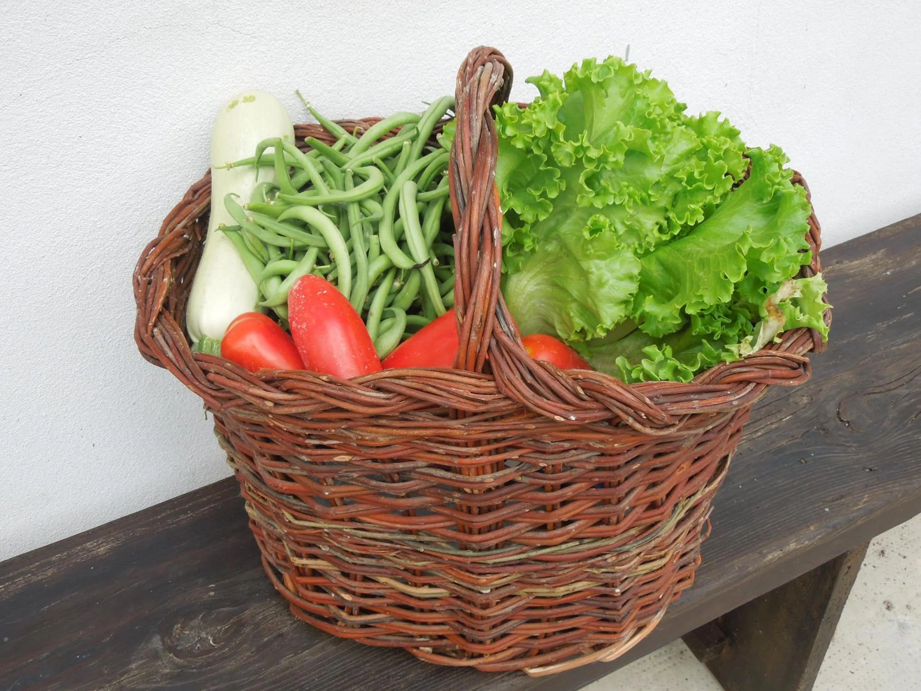 Decorative detail in Casa Rovelli